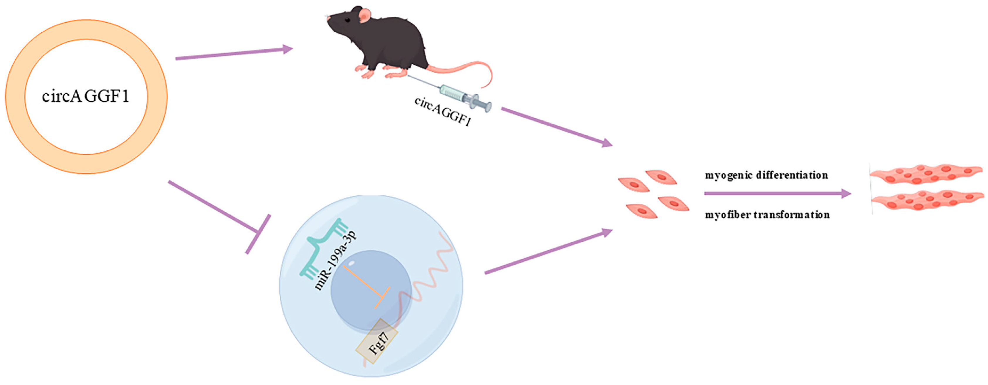 Animals 15 00708 g007