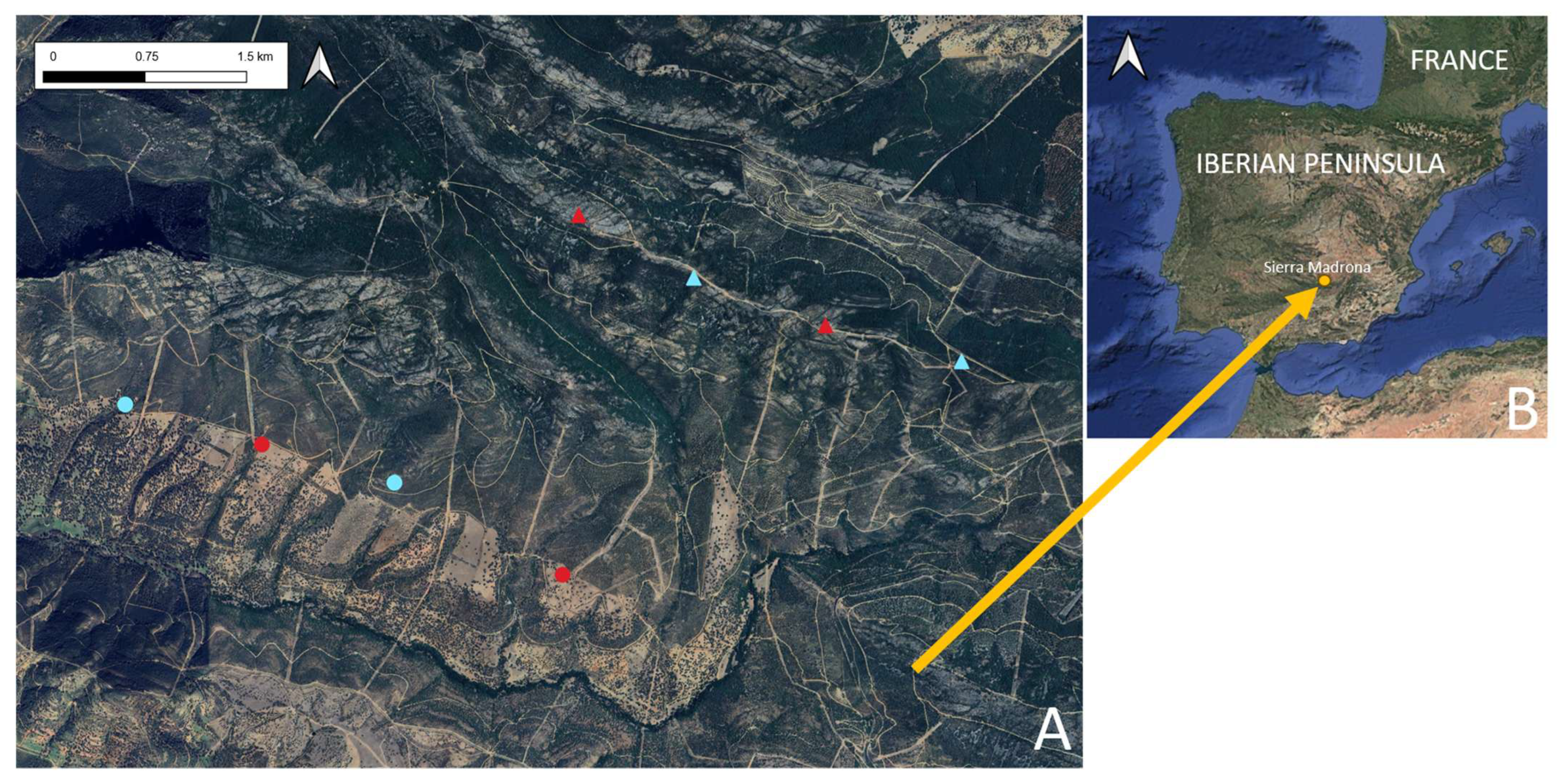 Animals 15 00732 g001