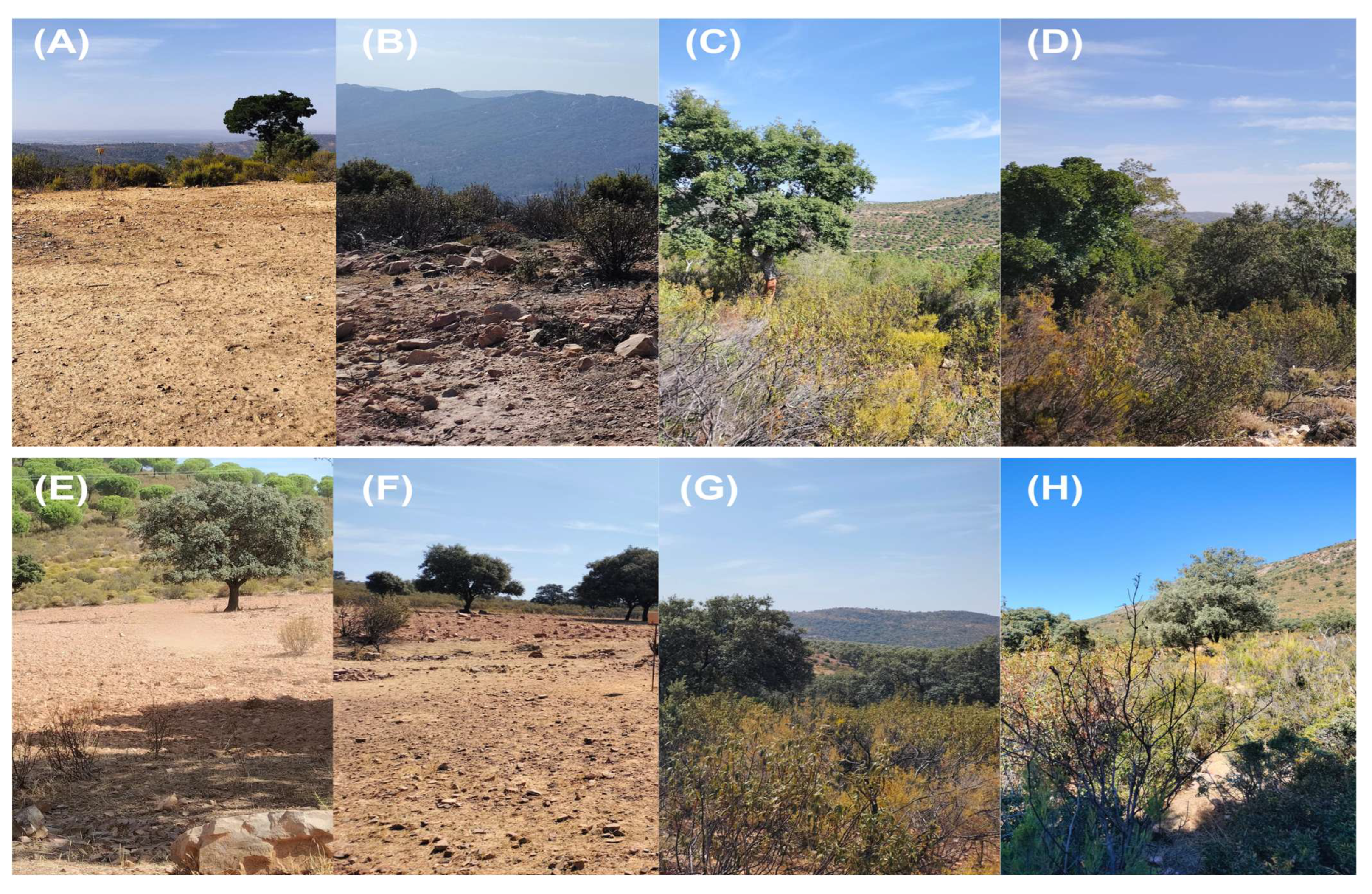 Animals 15 00732 g002