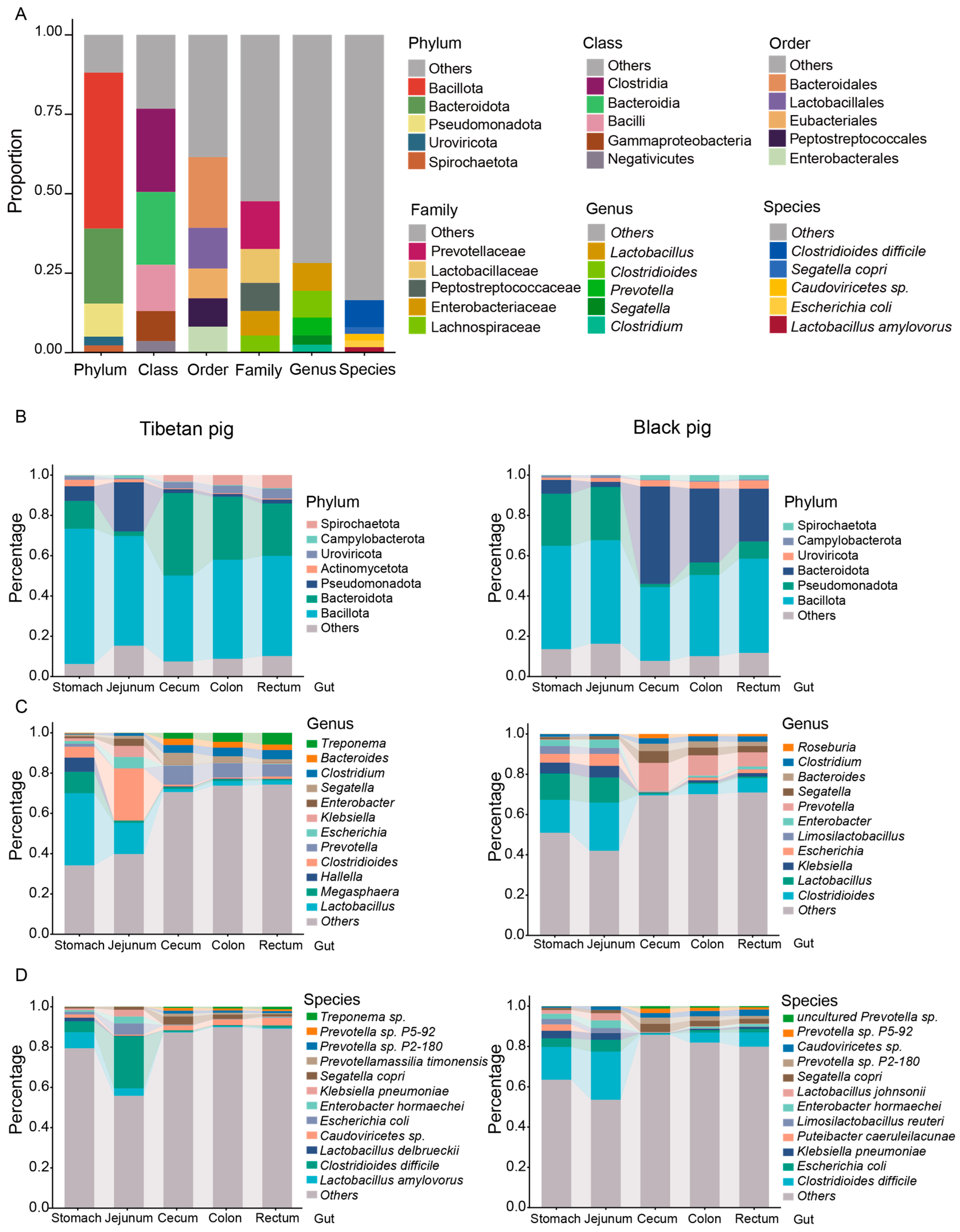 Animals 15 00753 g001