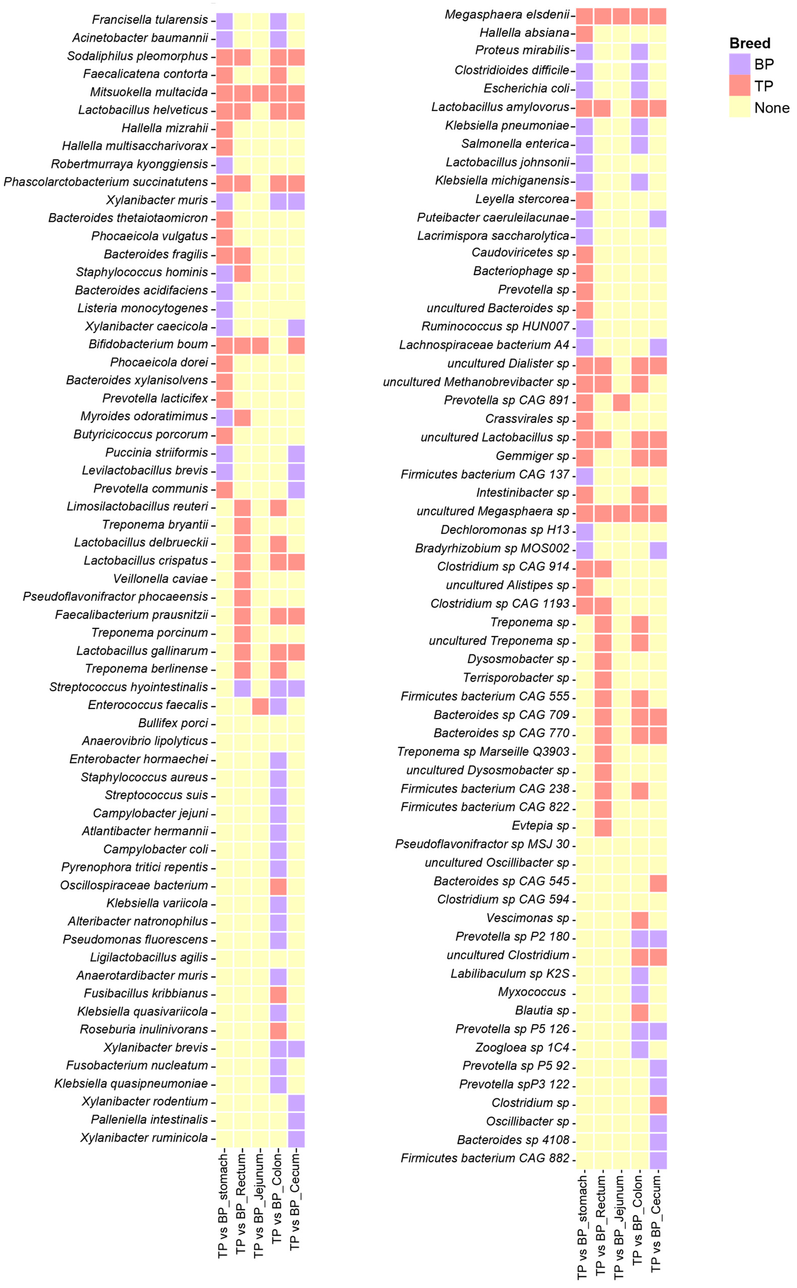 Animals 15 00753 g005