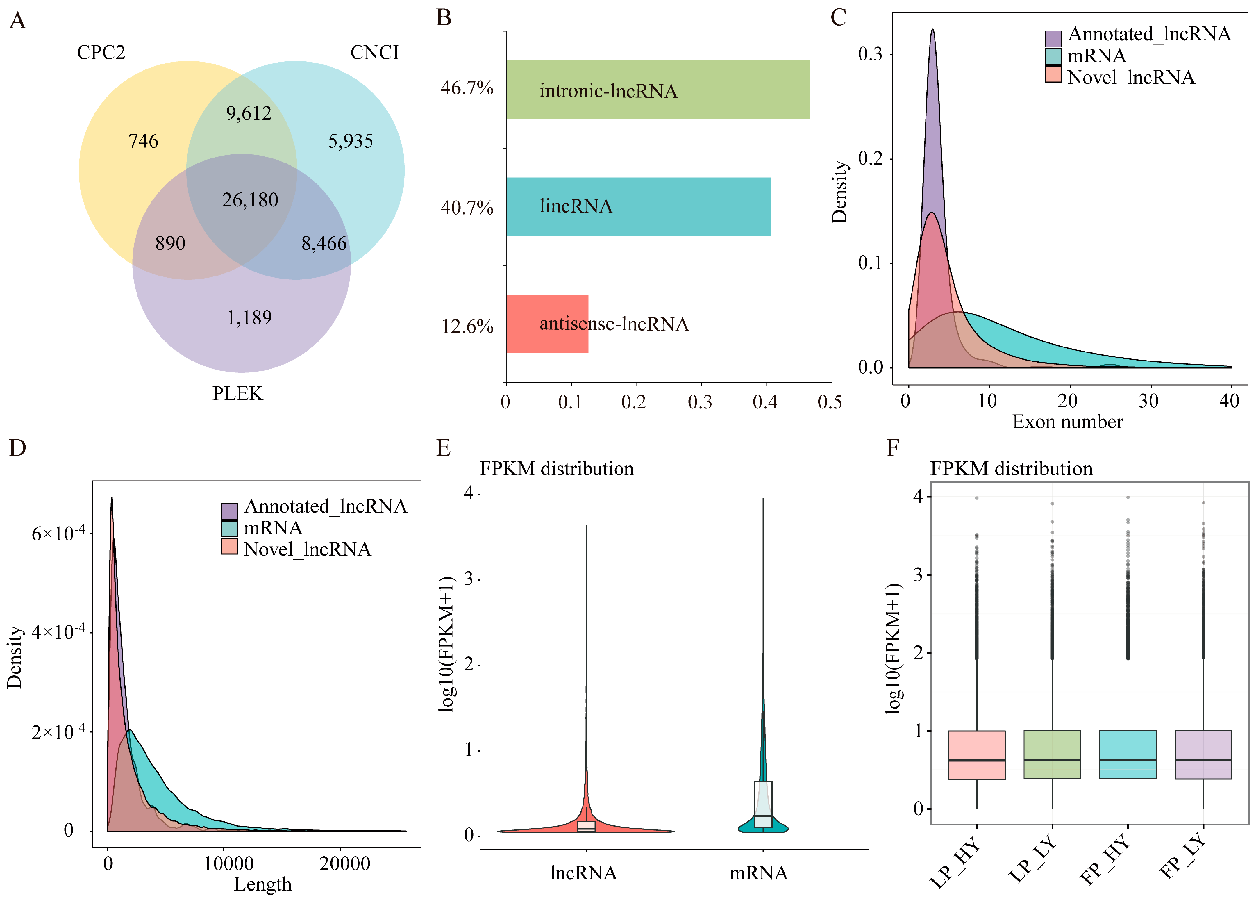 Animals 15 00754 g001