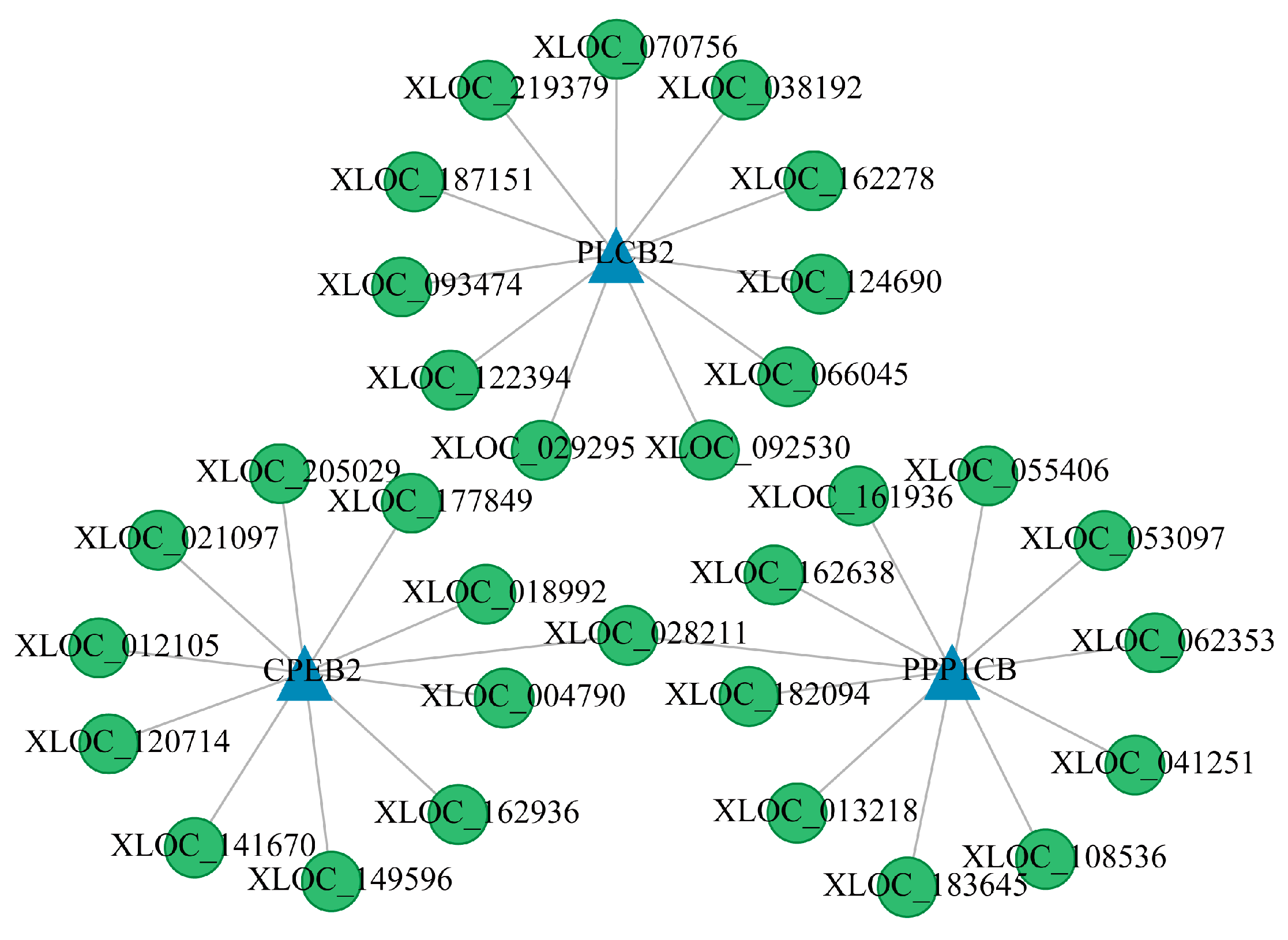 Animals 15 00754 g007