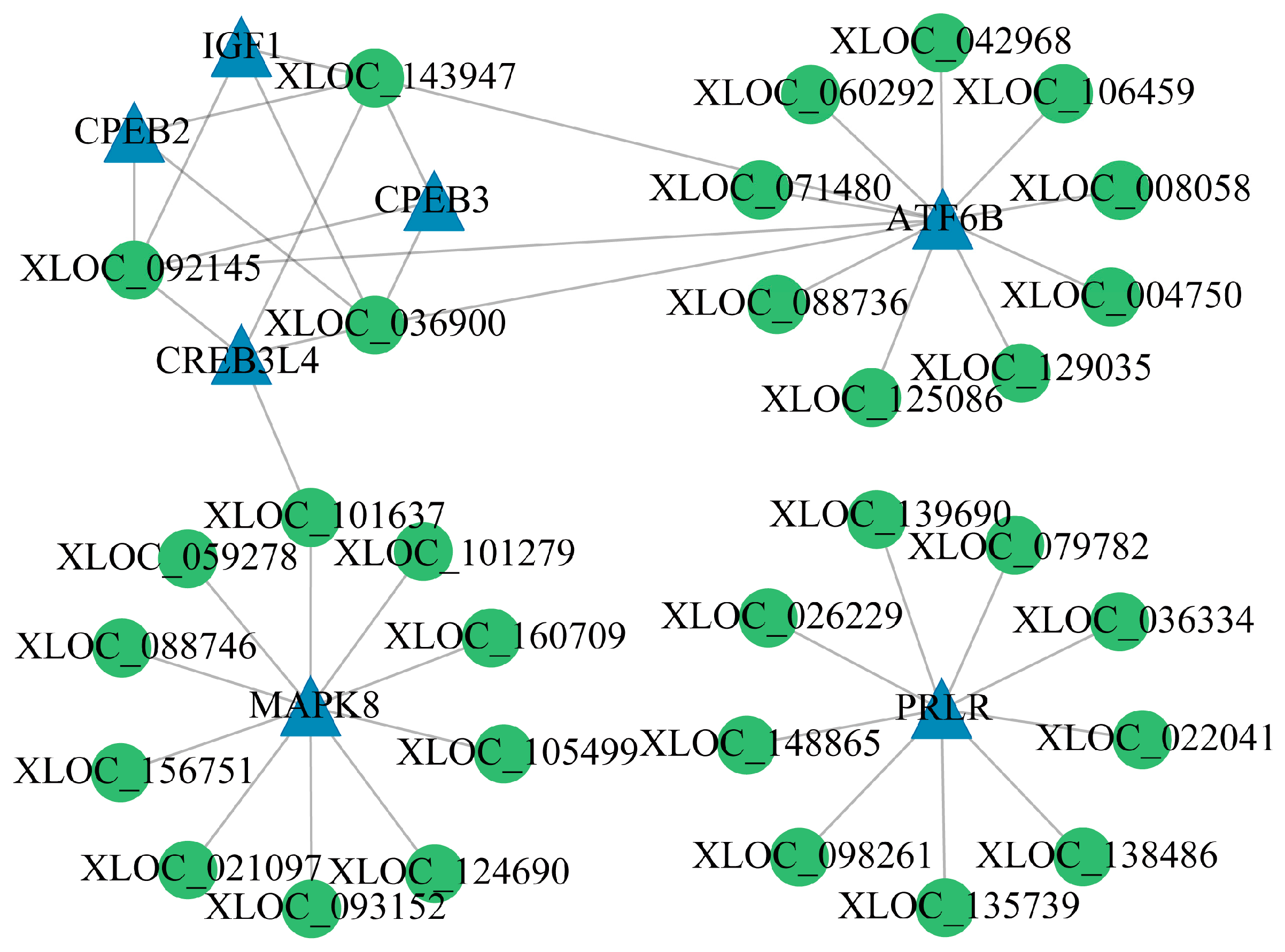 Animals 15 00754 g008