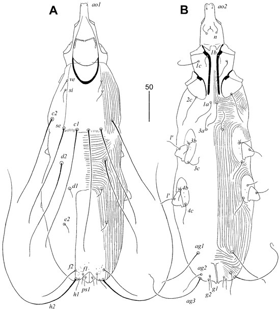 Animals 15 00764 g001