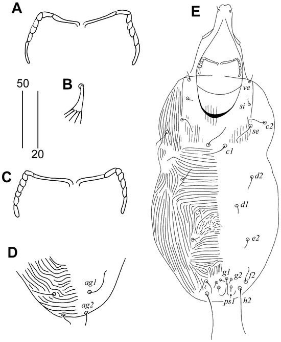 Animals 15 00764 g002