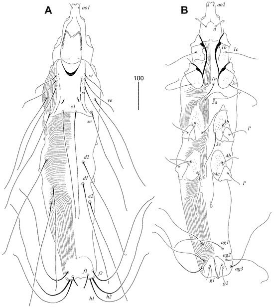 Animals 15 00764 g003