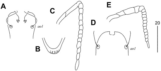 Animals 15 00764 g005