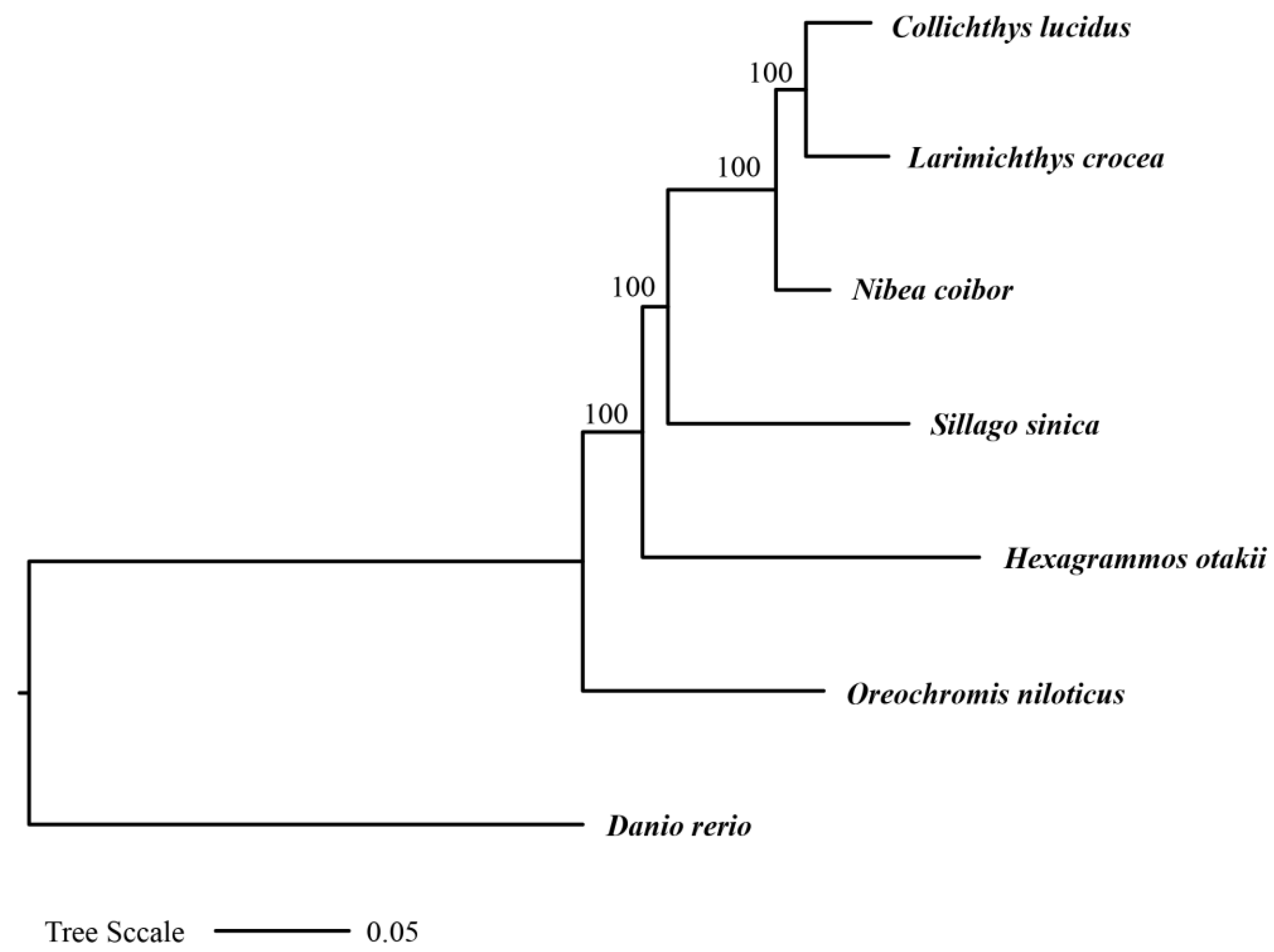 Animals 15 00782 g003
