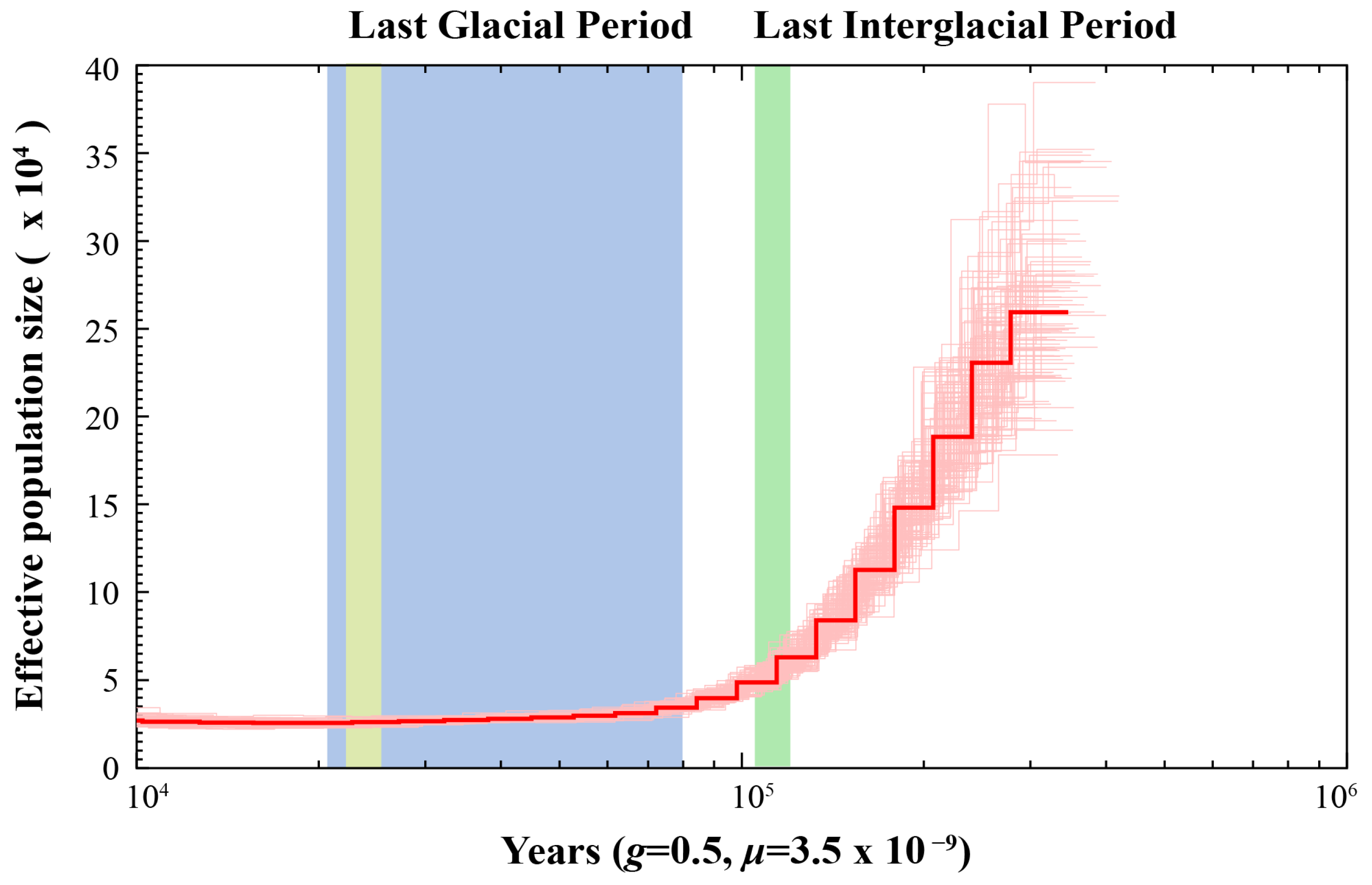 Animals 15 00782 g004