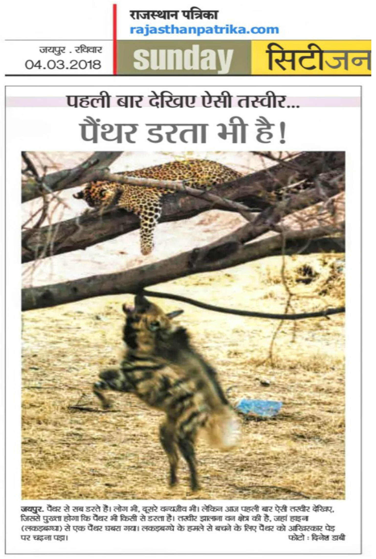 Animals 15 00784 g003