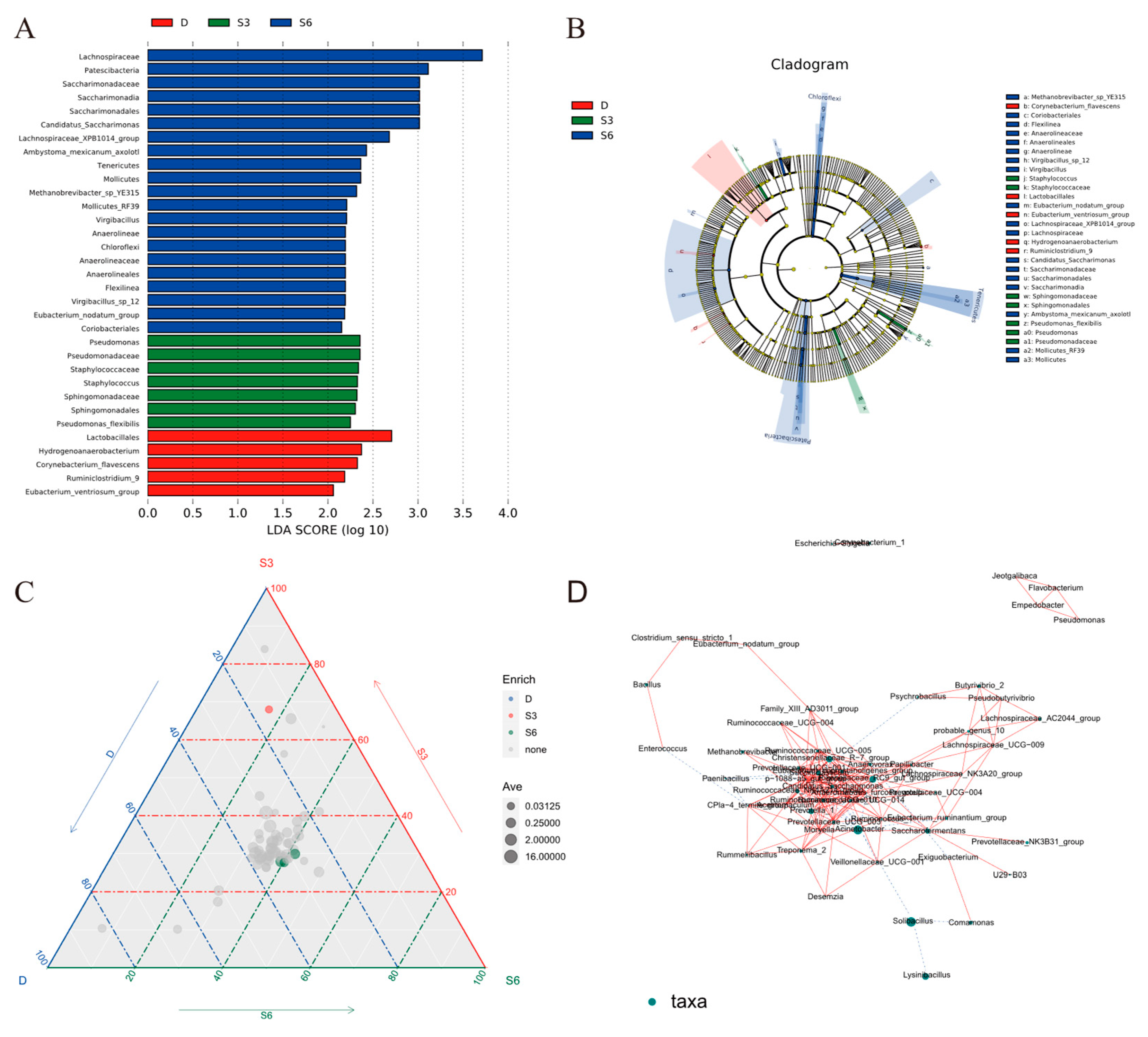 Animals 15 00788 g004