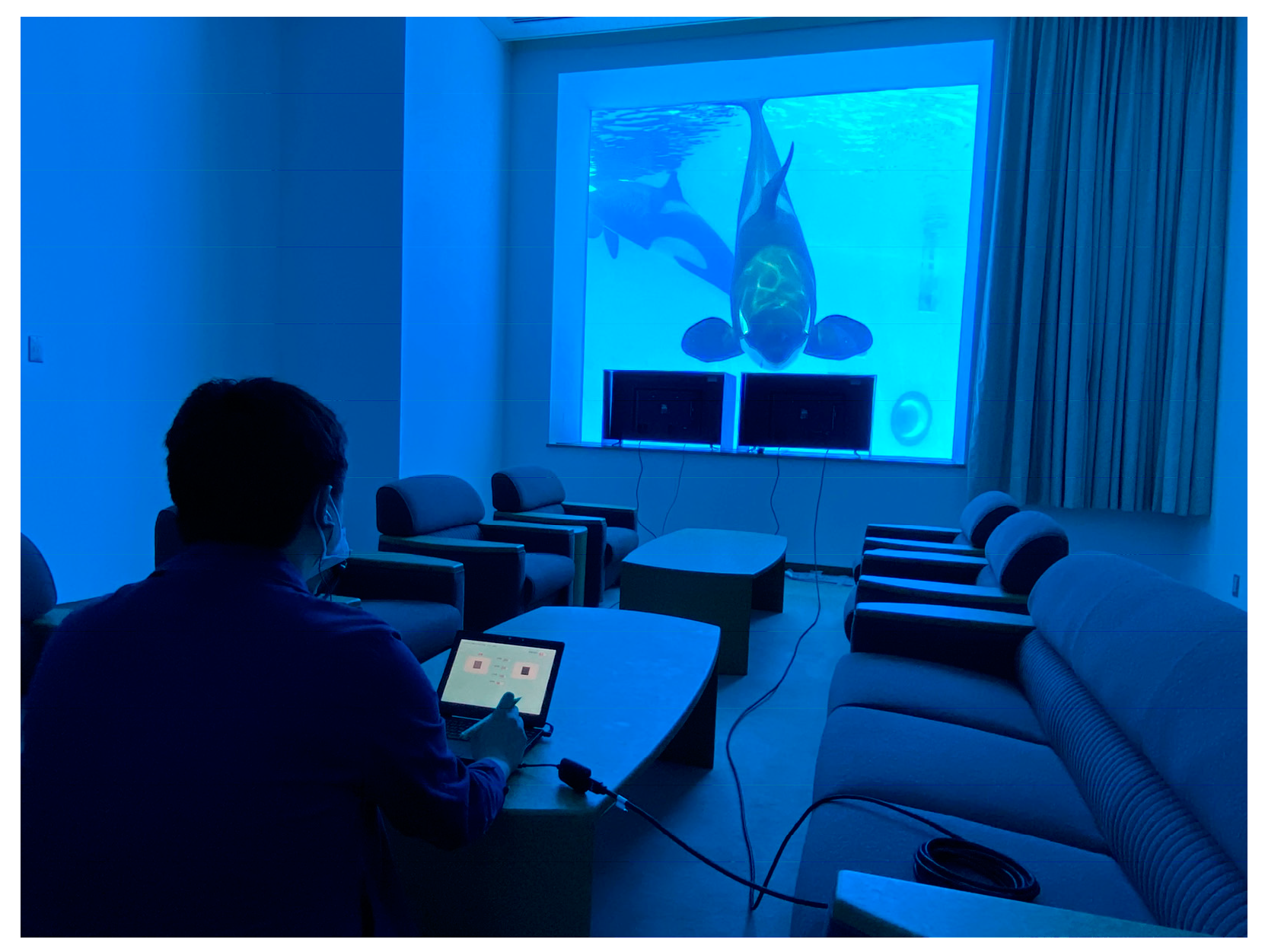 Animals 15 00793 g001