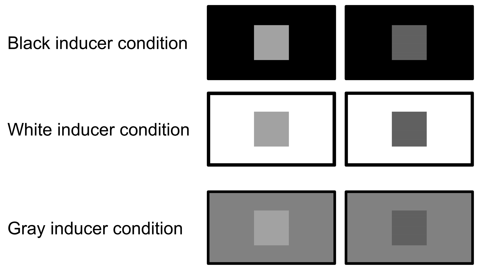 Animals 15 00793 g002