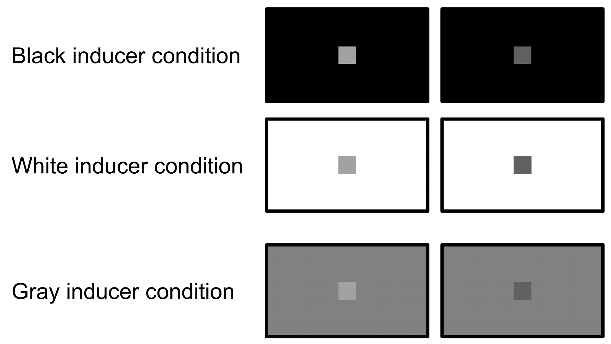 Animals 15 00793 g003