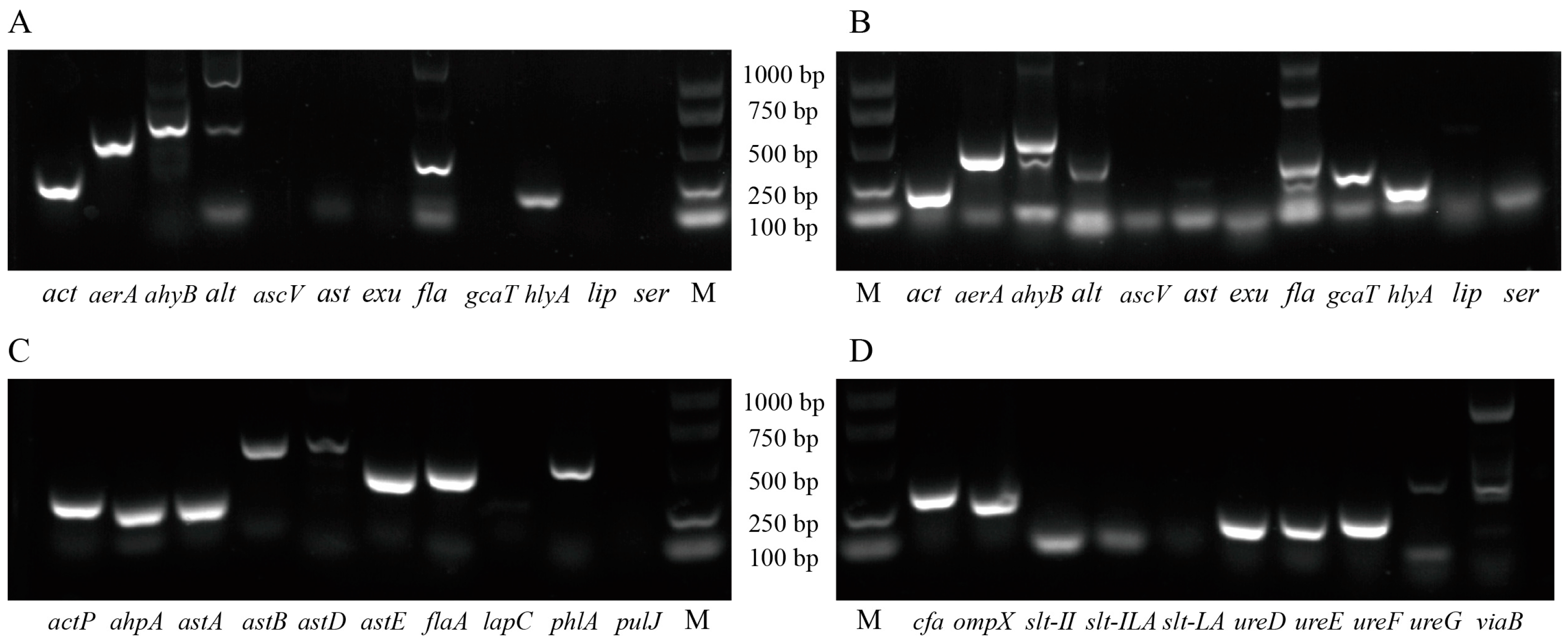 Animals 15 00805 g002