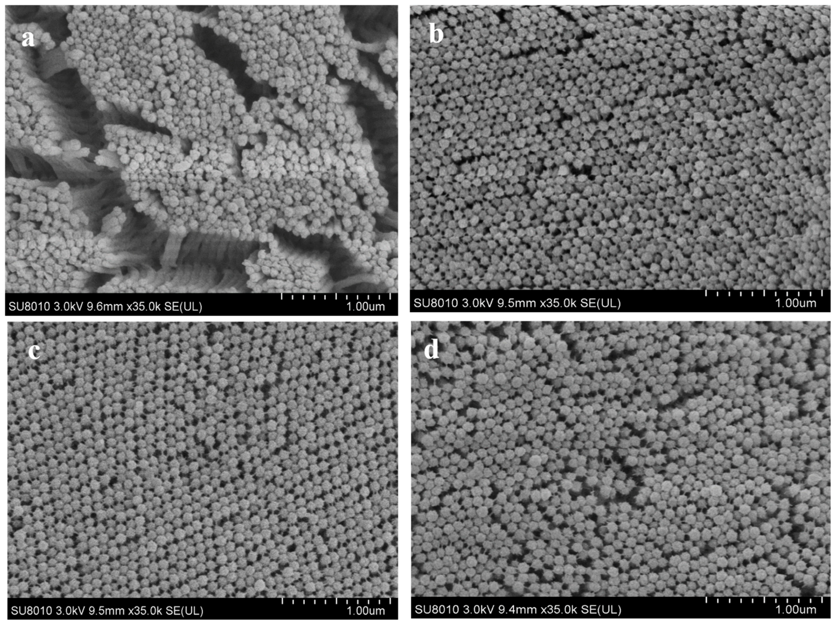 Animals 15 00810 g005