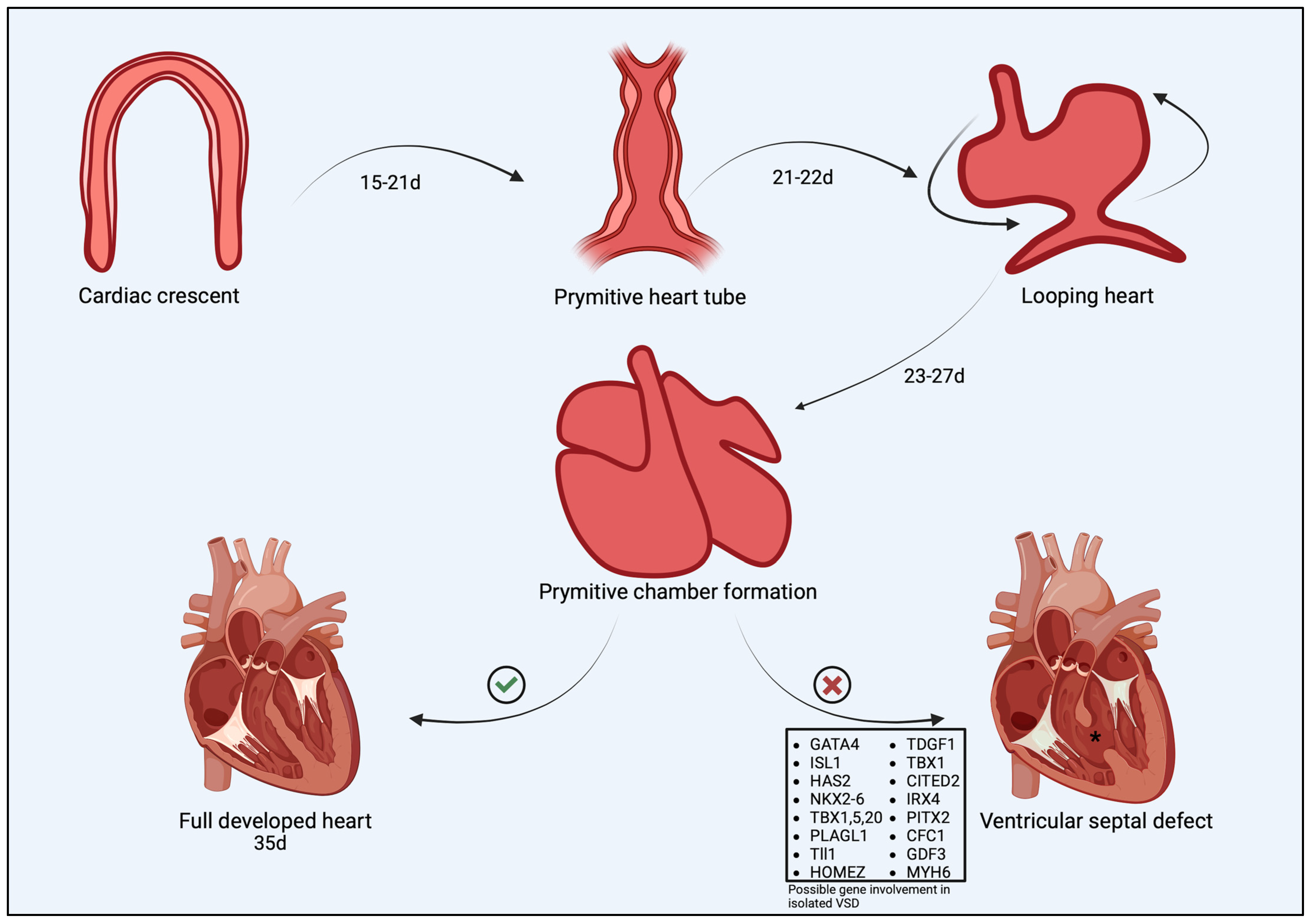 Animals 15 00850 g001