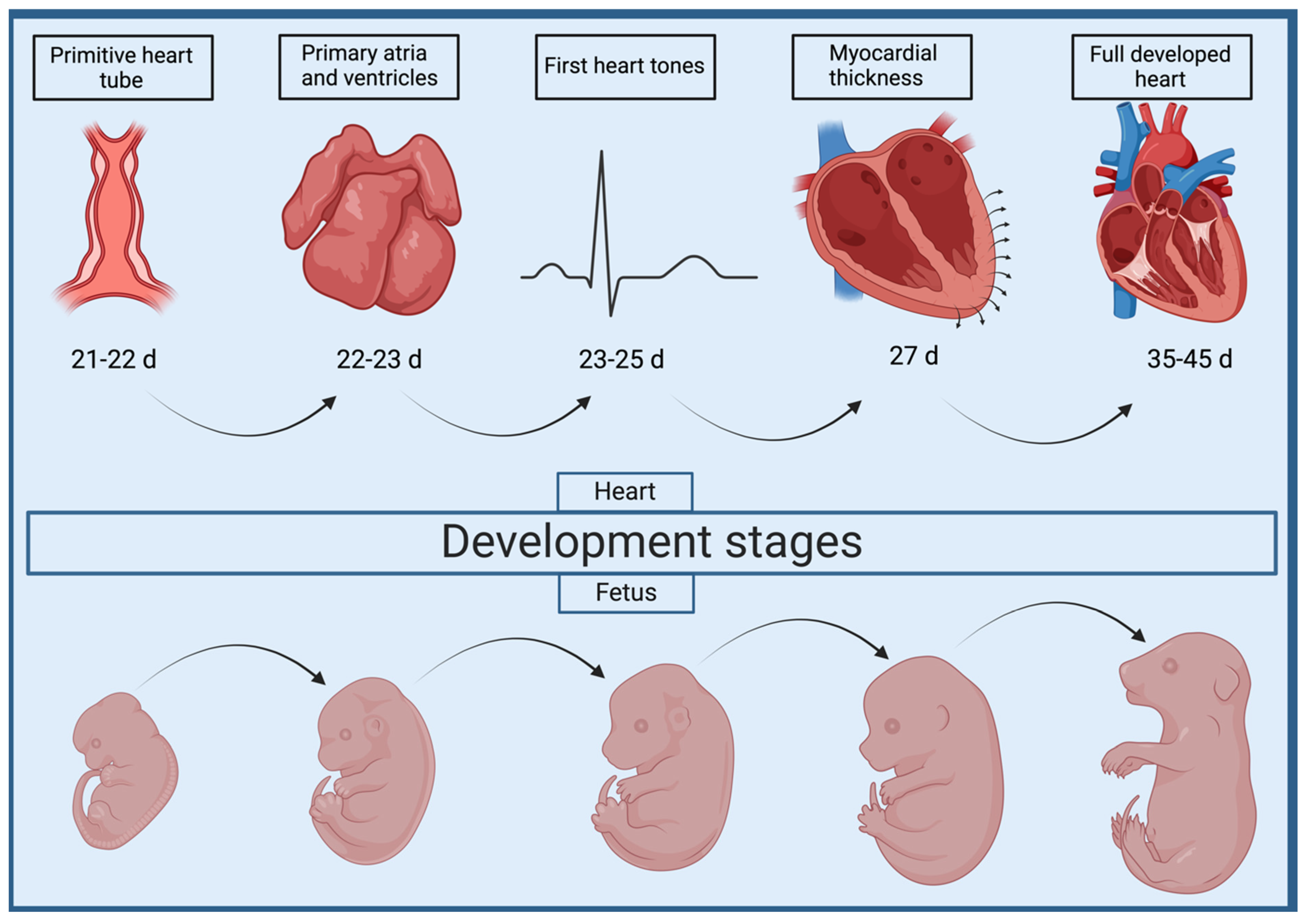 Animals 15 00850 g002