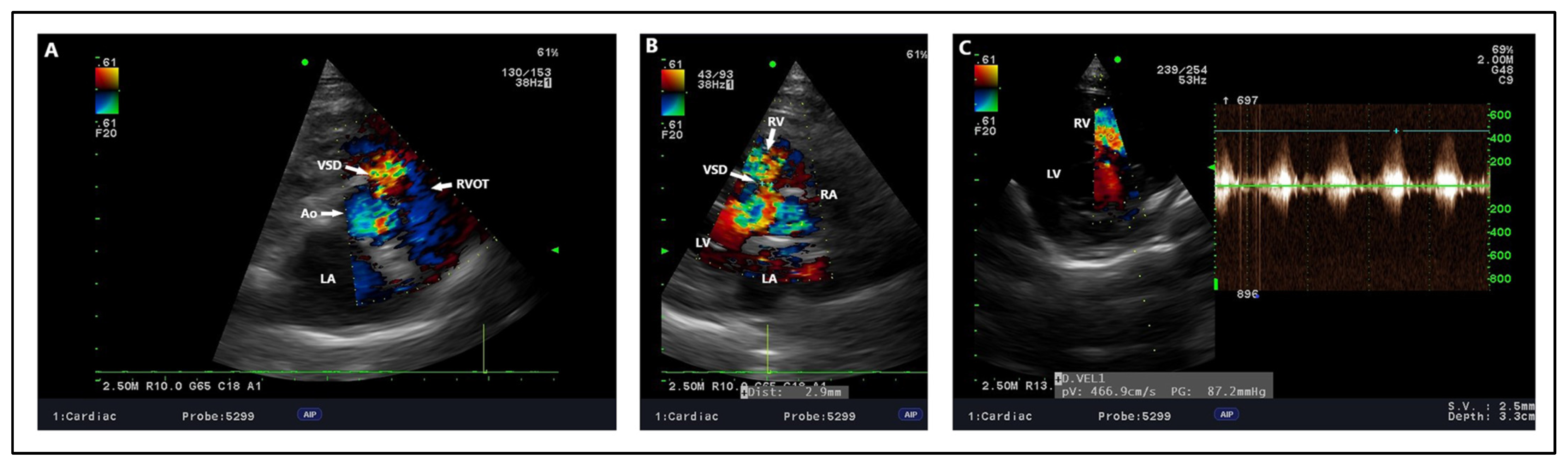 Animals 15 00850 g004