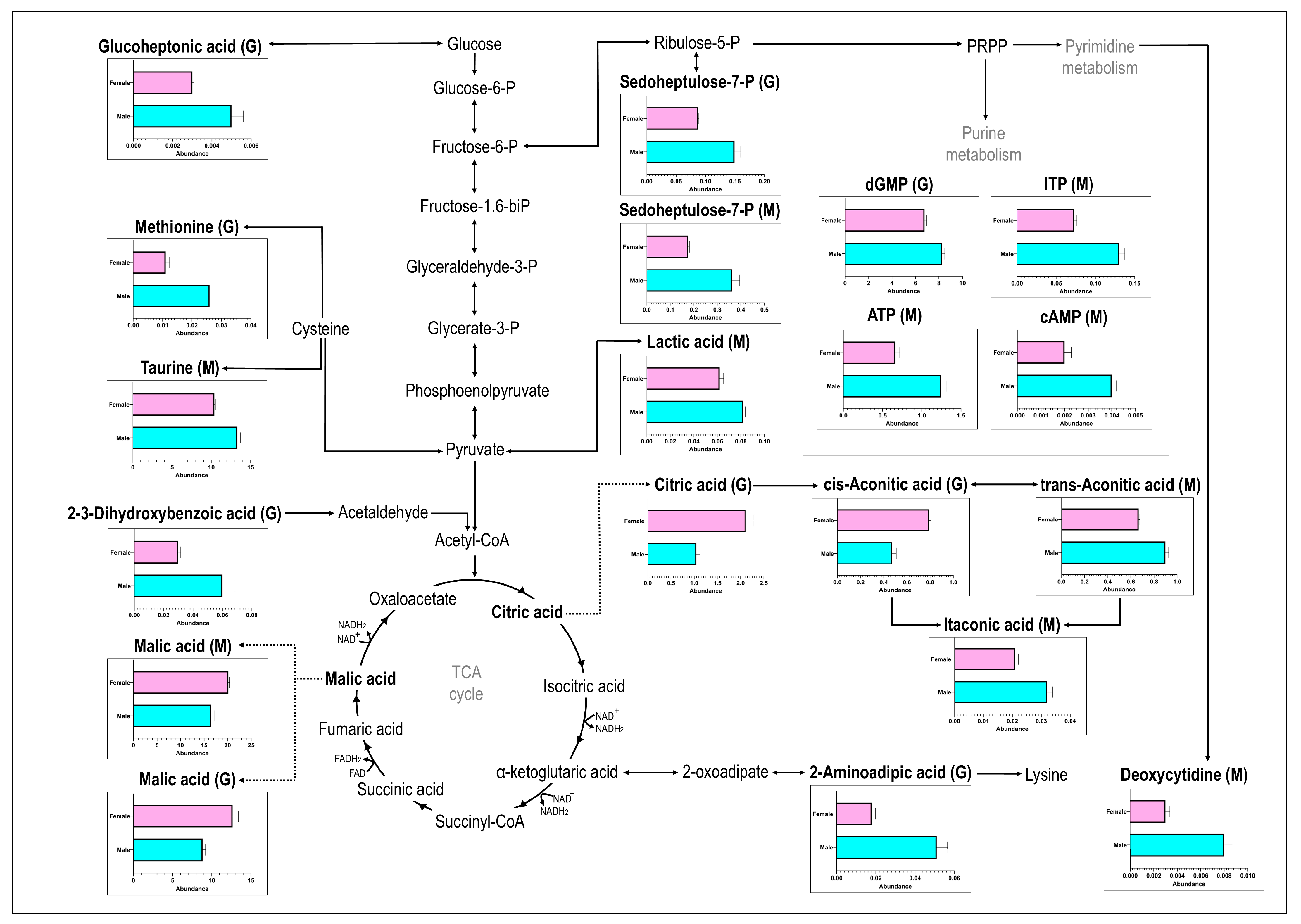 Animals 15 00860 g002