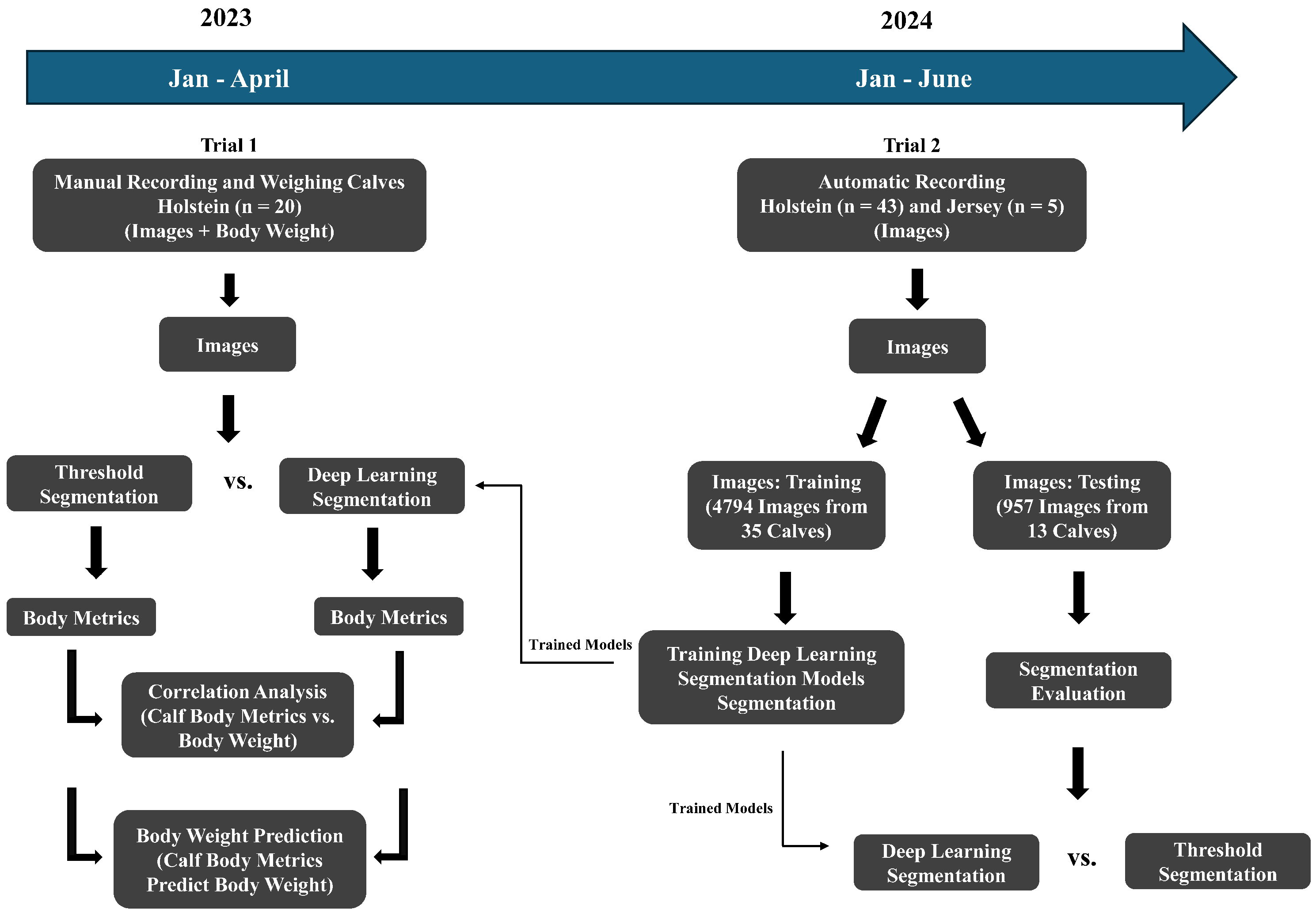 Animals 15 00868 g001