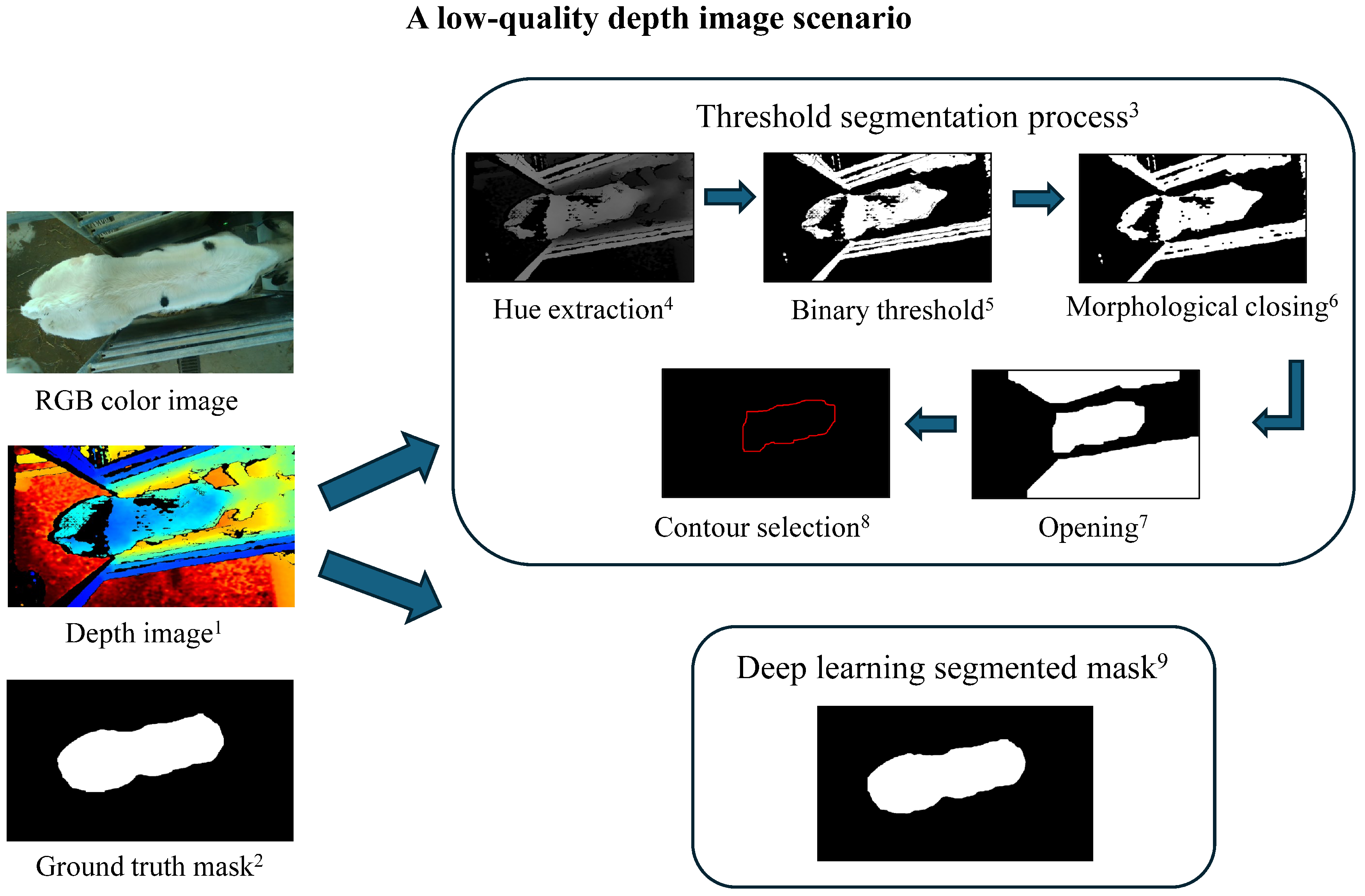 Animals 15 00868 g003