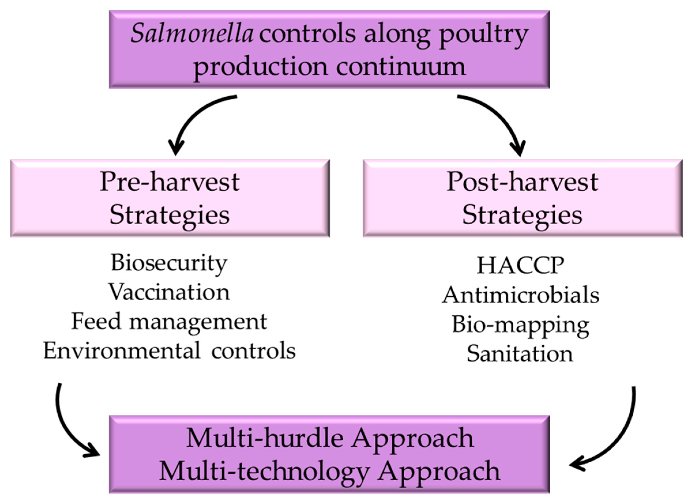 A Mini-Review on Multi-Hurdle Control of Salmonella Along Poultry ...