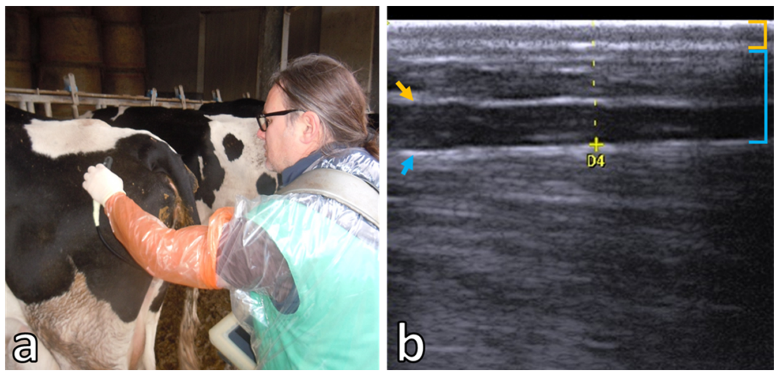 Animals 15 00883 g001