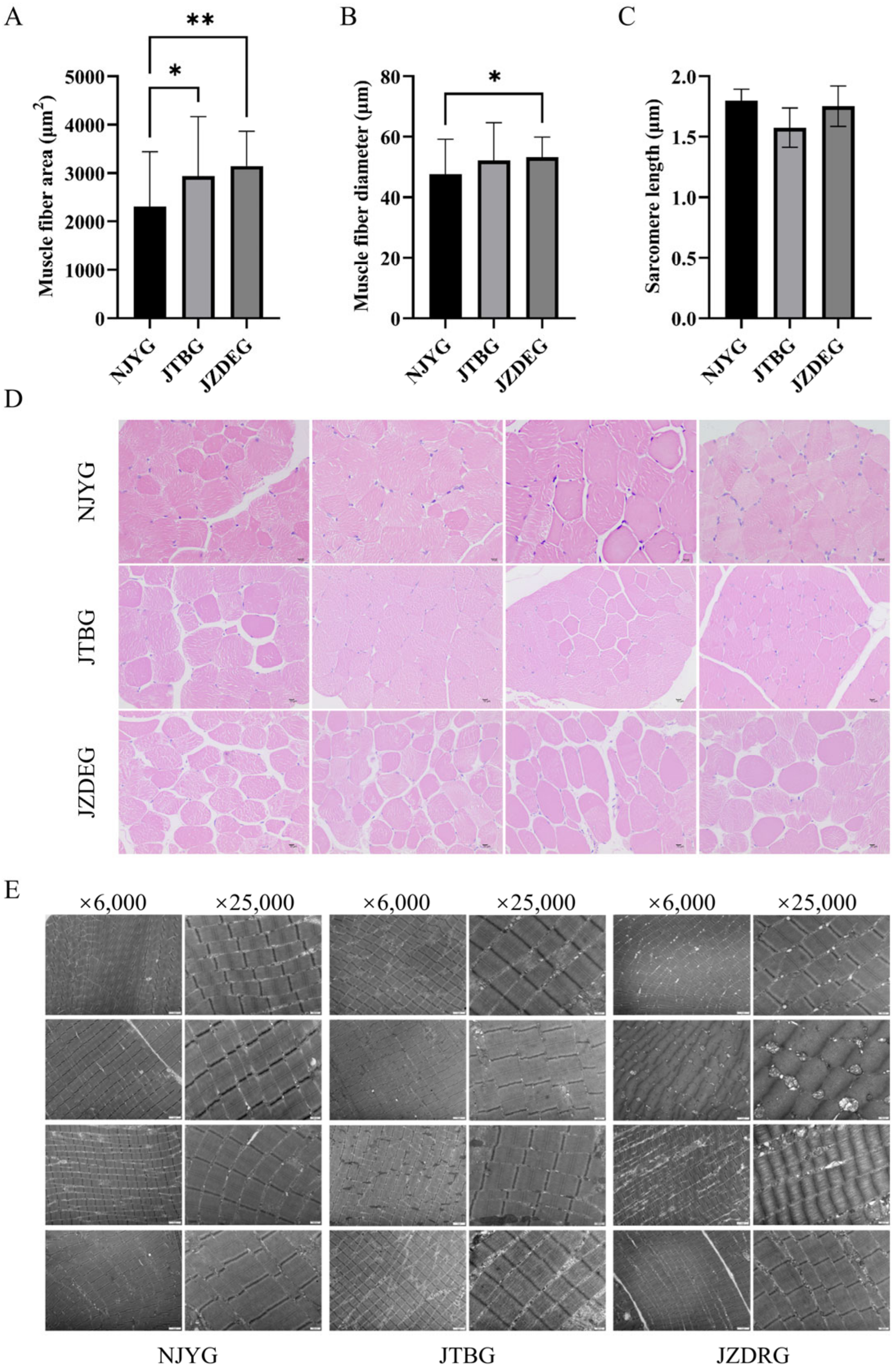 Animals 15 00887 g002