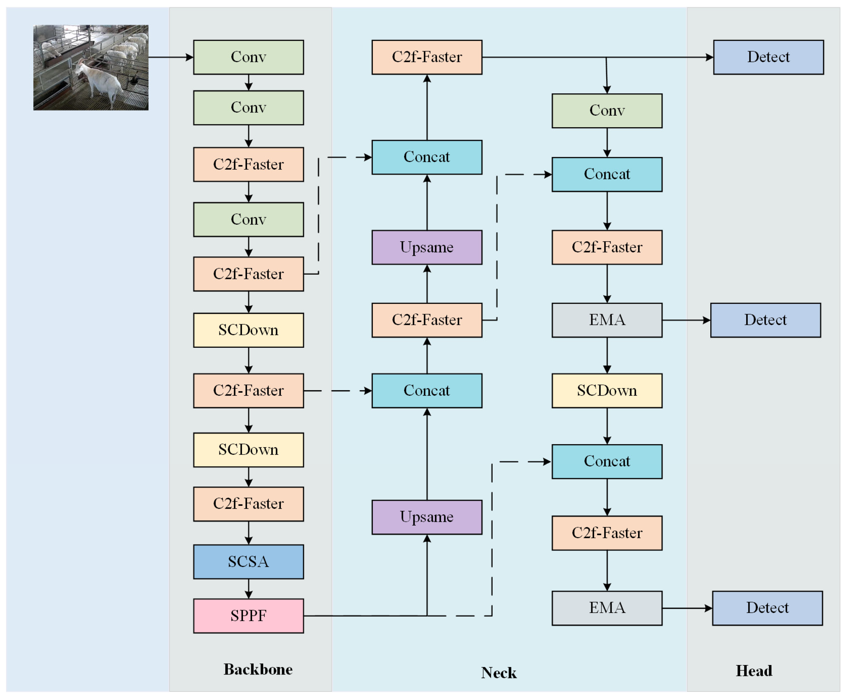 Animals 15 00893 g004