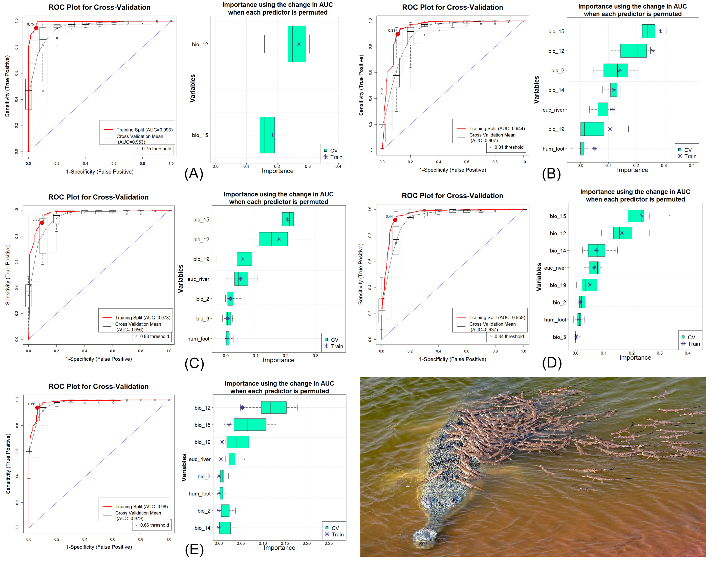 Animals 15 00896 g002