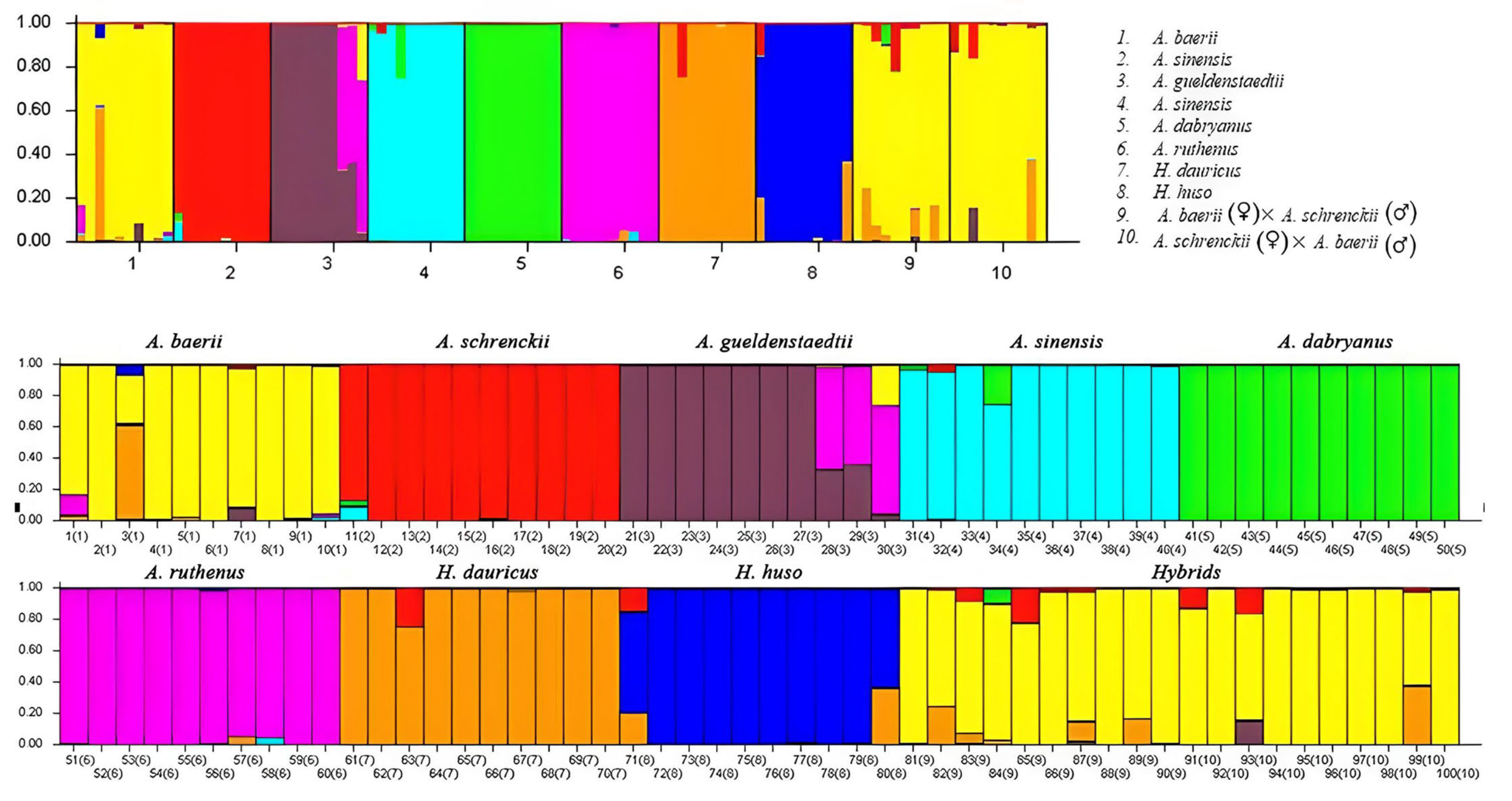 Animals 15 00907 g002