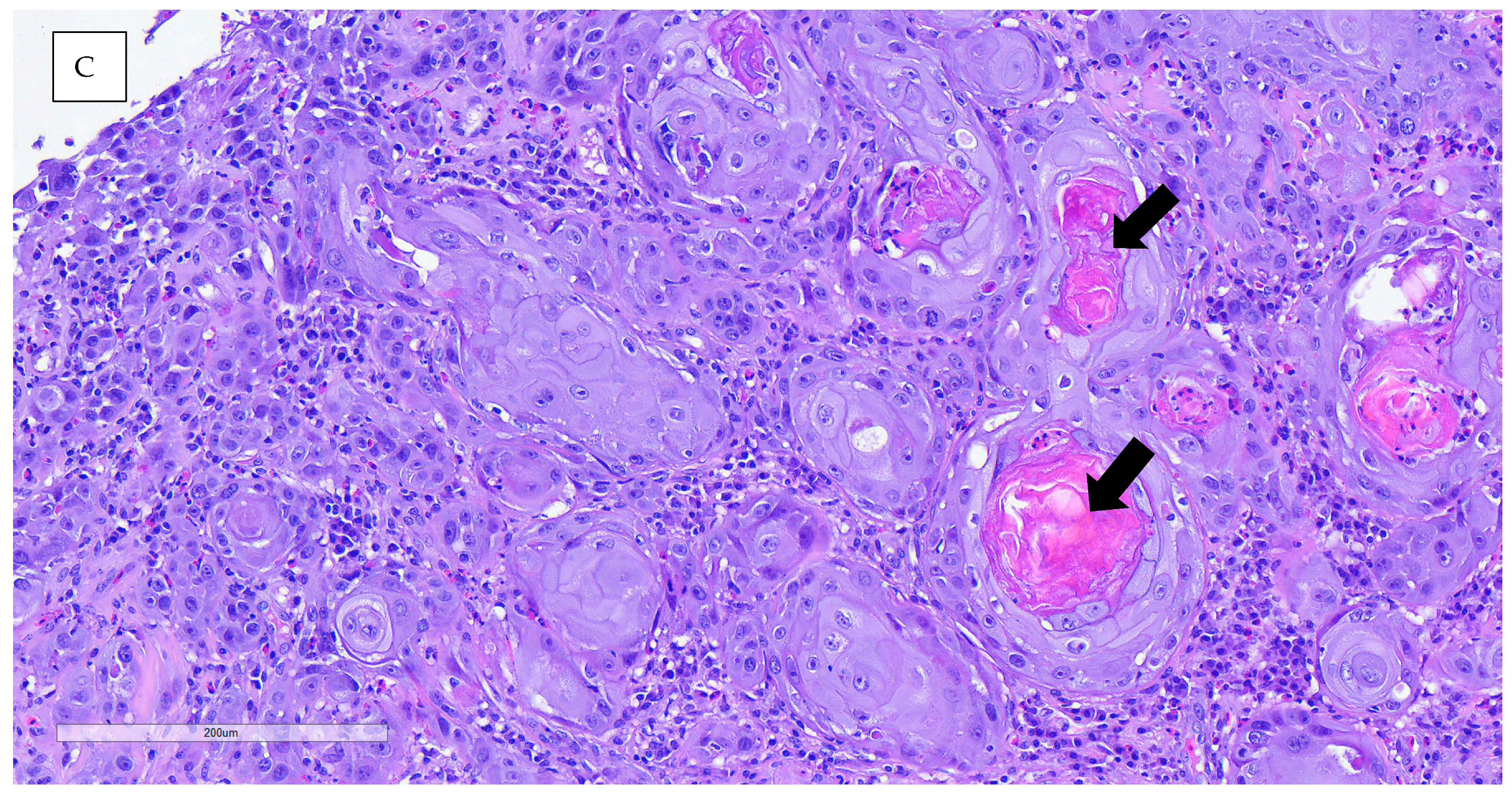 Animals 15 00919 g005b