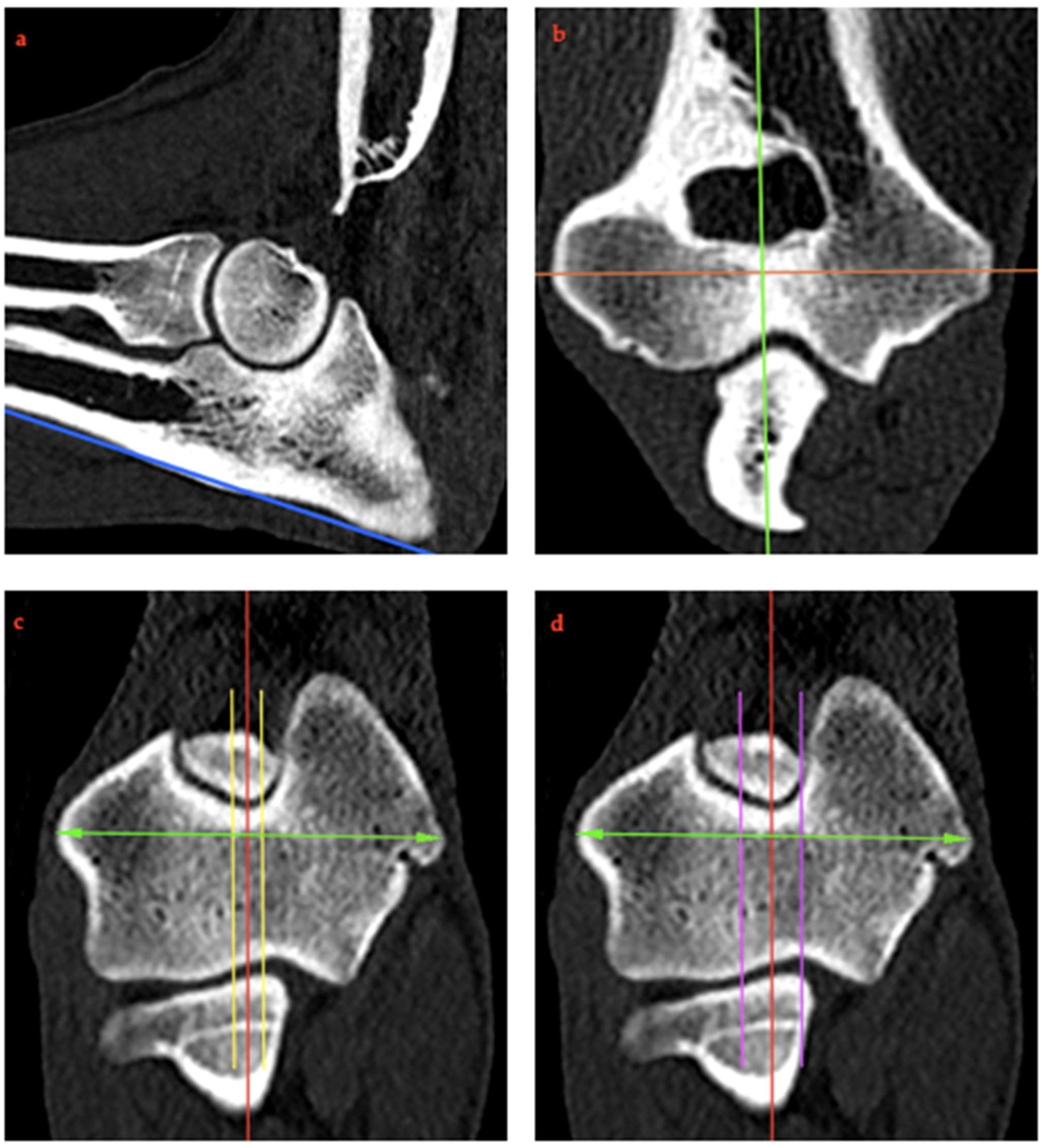 Animals 15 00921 g002