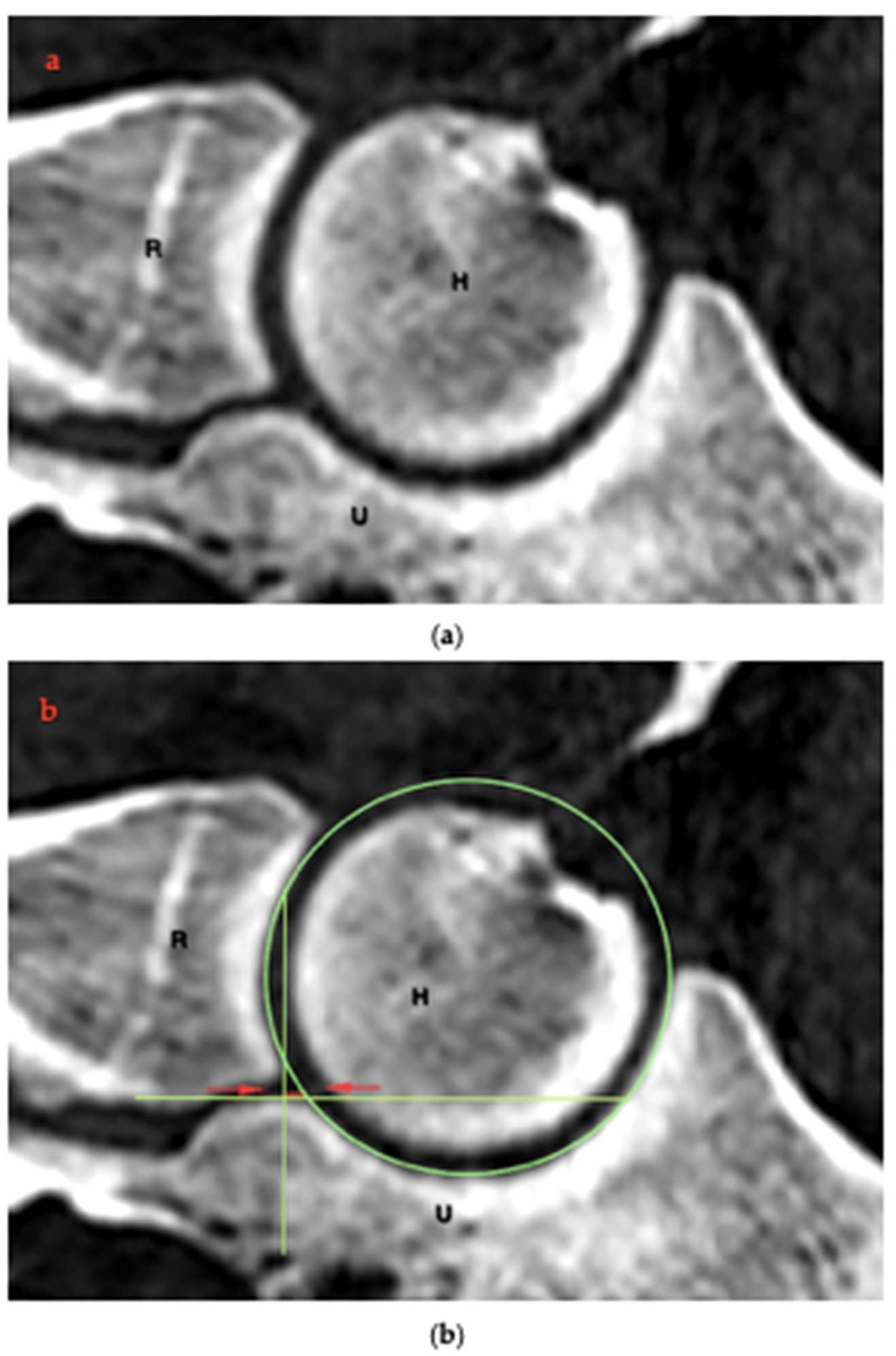 Animals 15 00921 g003