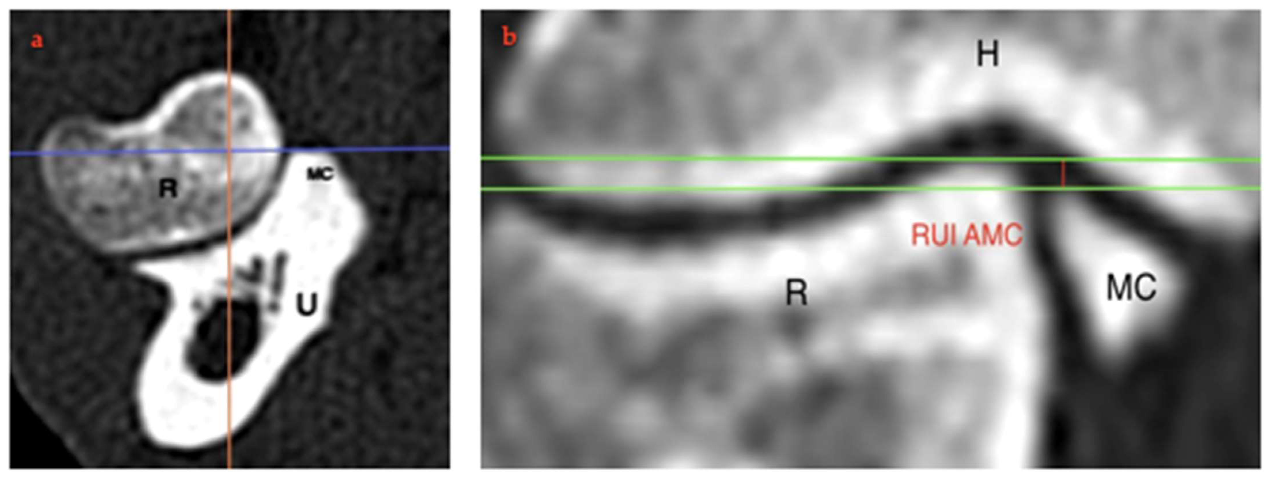 Animals 15 00921 g004