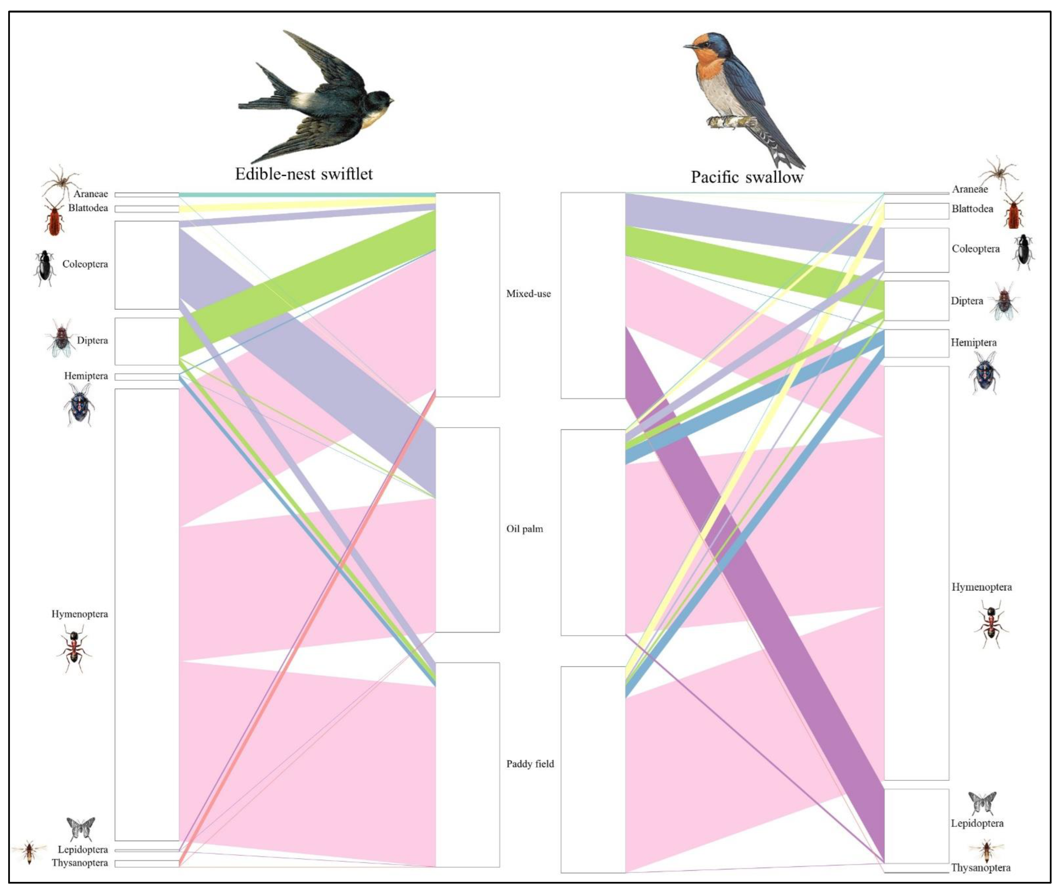 Animals 15 00974 g002 Animals 15 00974 g002