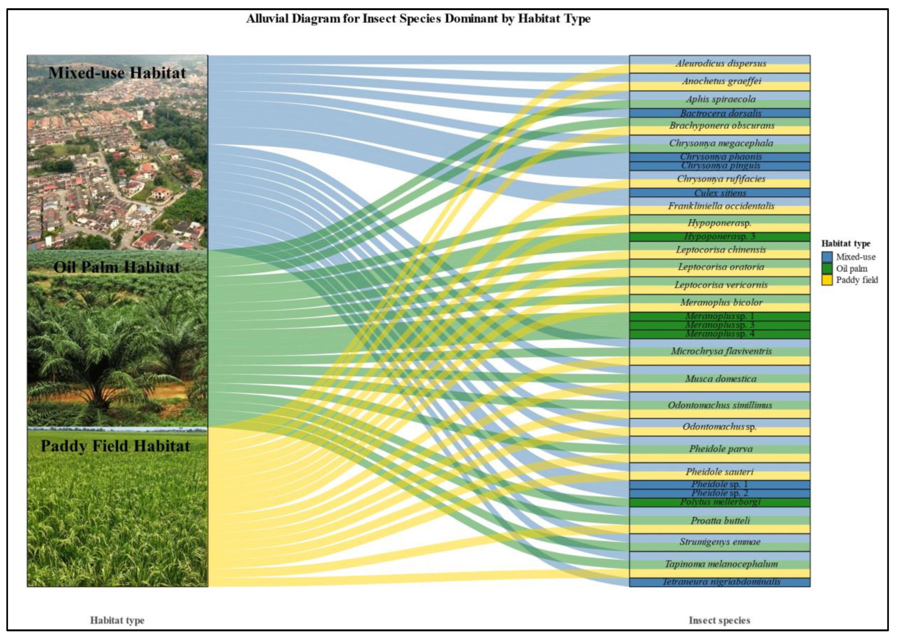 Animals 15 00974 g004 Animals 15 00974 g004