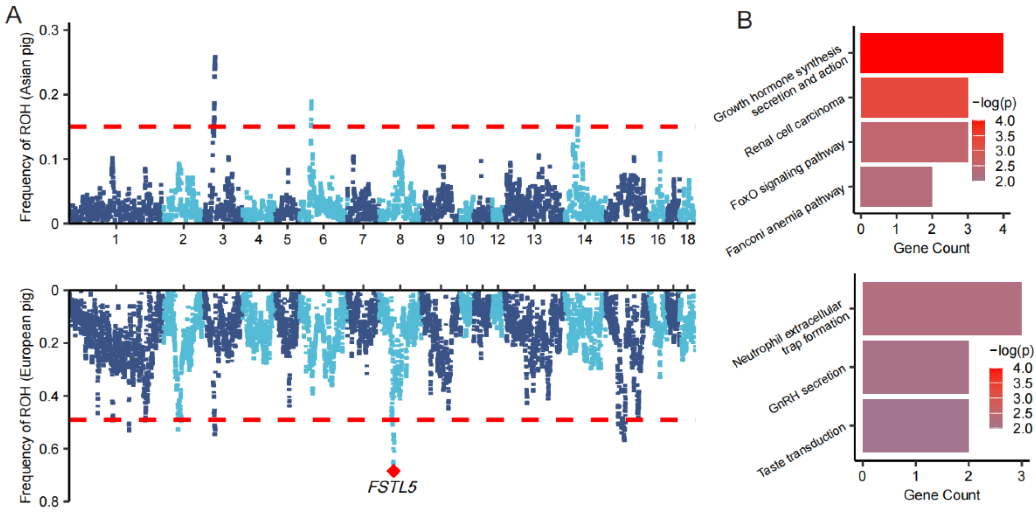 Animals 15 00988 g004