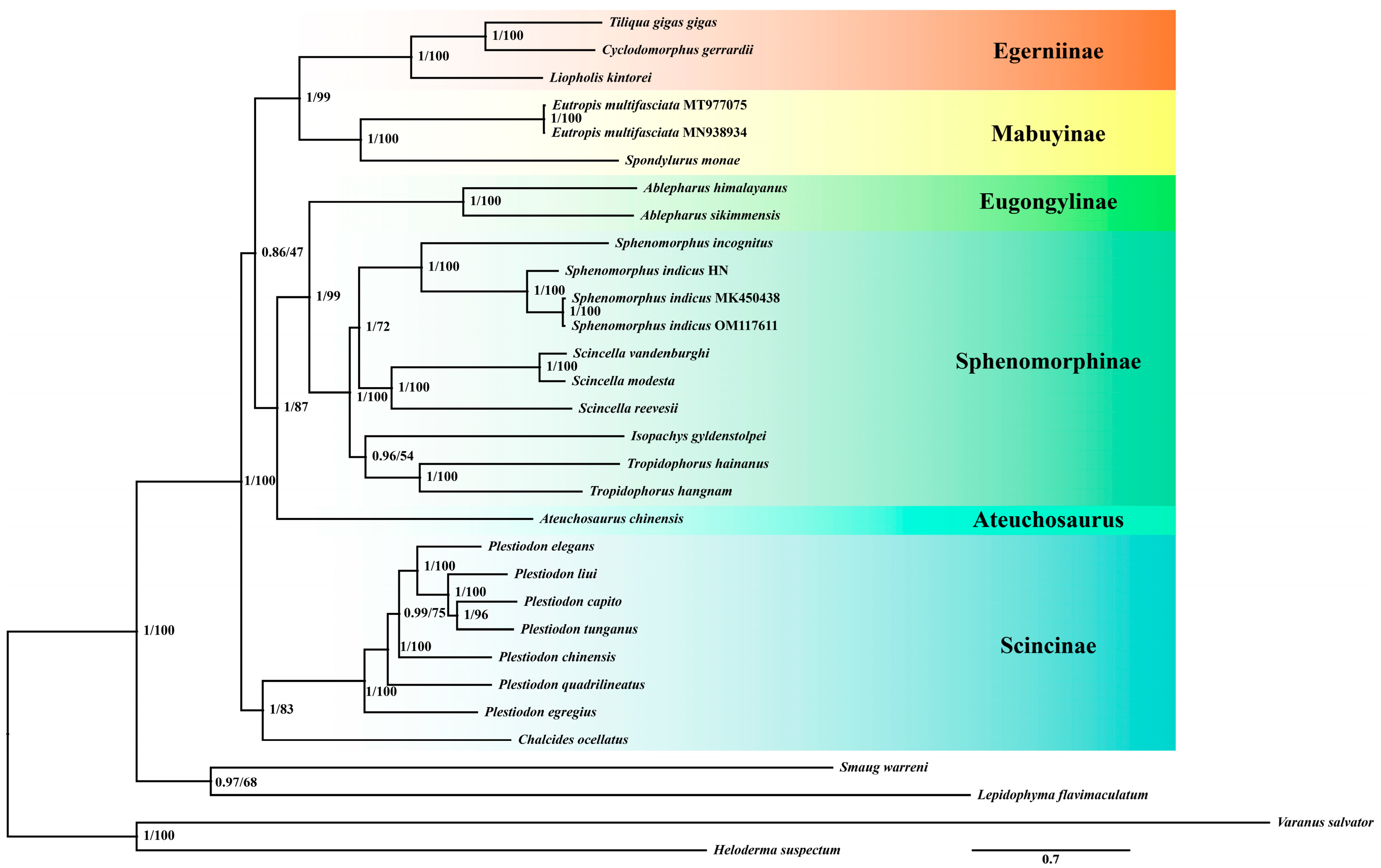 Animals 15 00999 g002