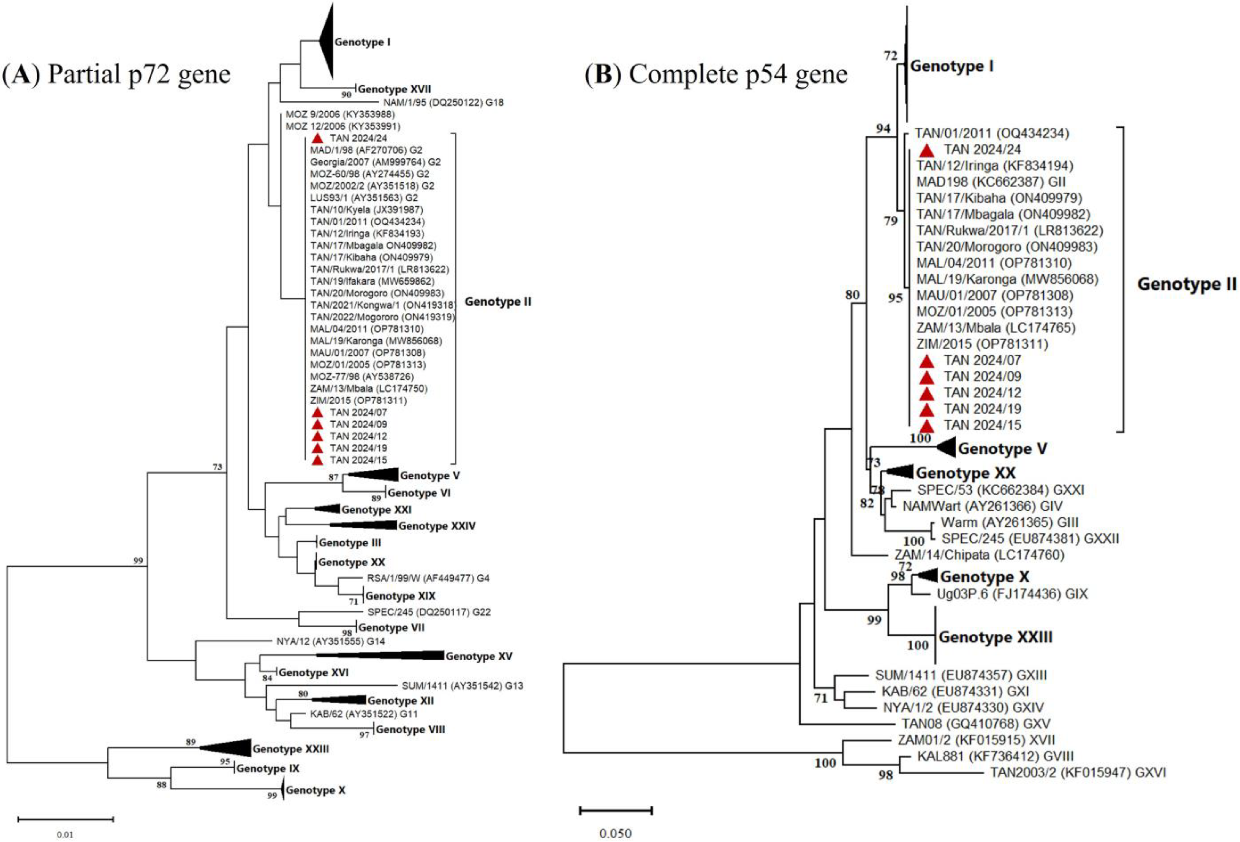 Animals 15 01007 g003