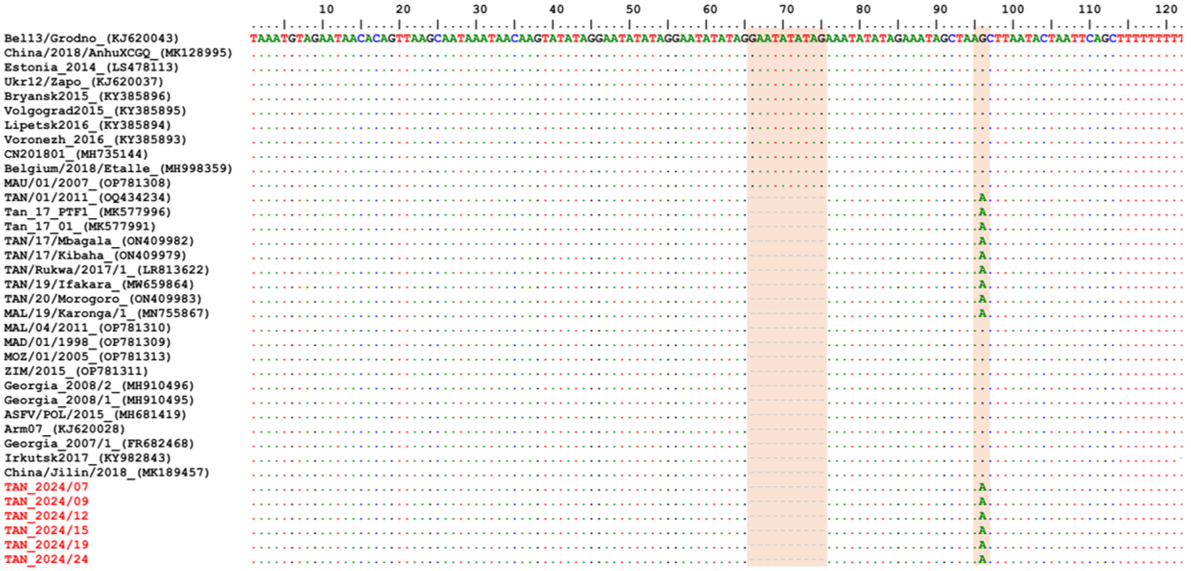 Animals 15 01007 g005