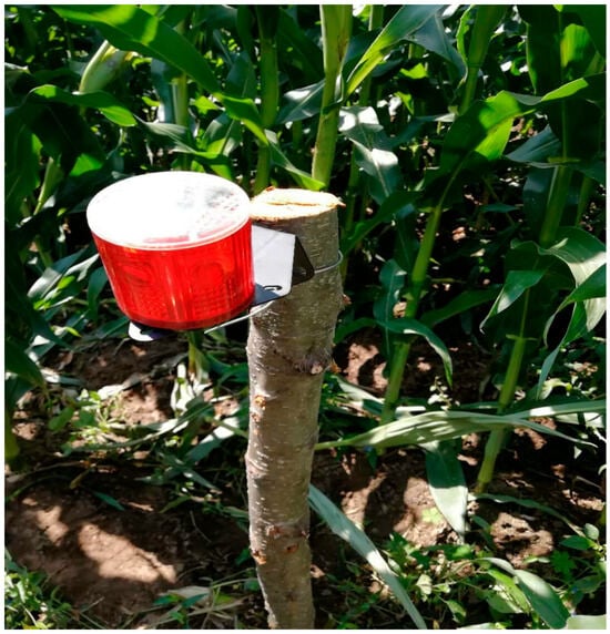 Animals 15 01017 g0a1