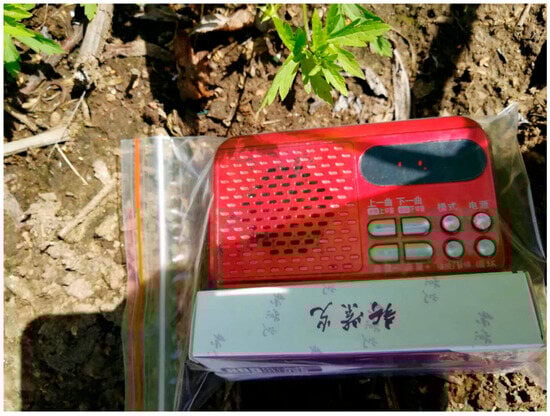 Animals 15 01017 g0a2