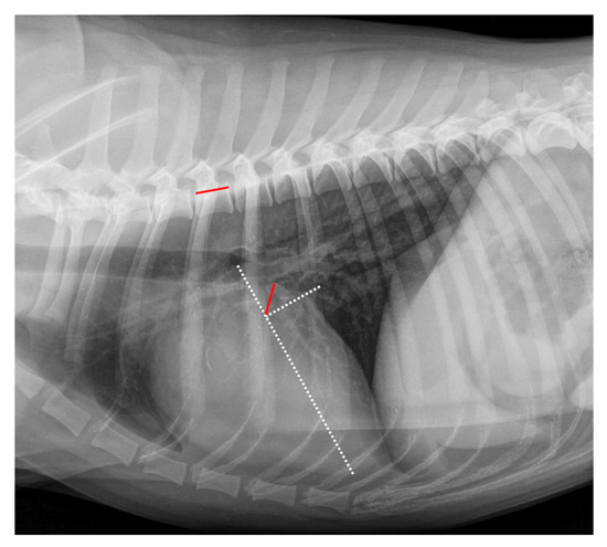 Animals 15 01082 g002