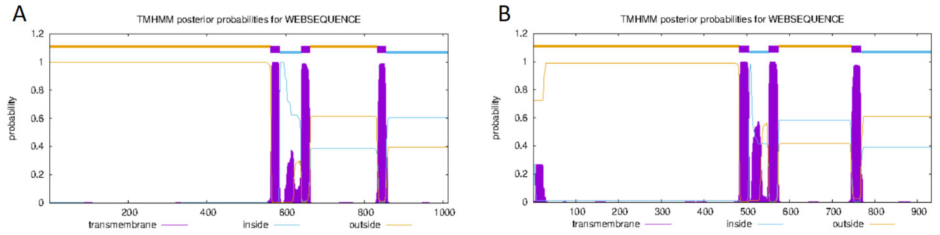 Animals 15 01130 g002