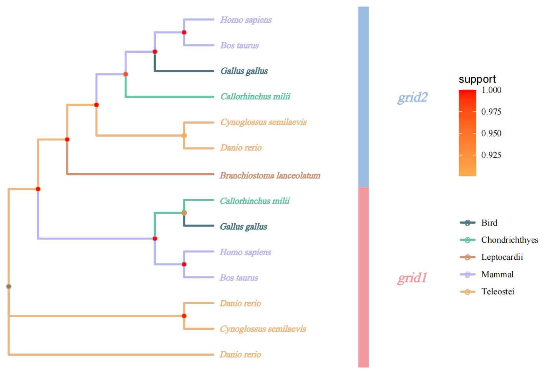 Animals 15 01130 g005