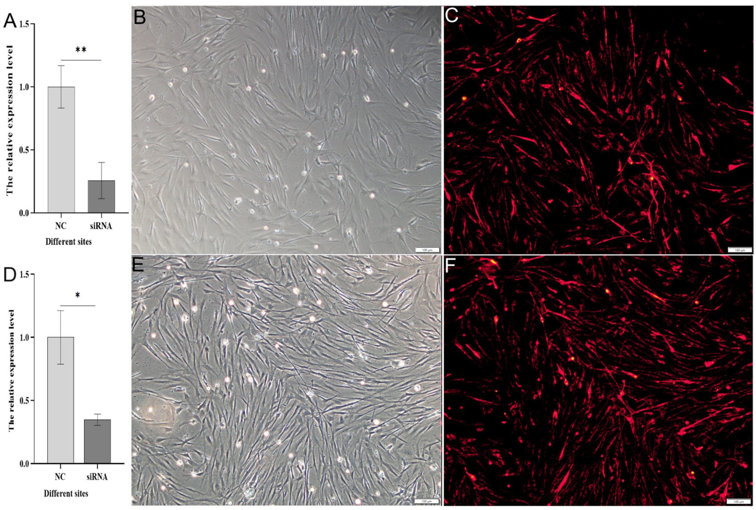 Animals 15 01130 g007