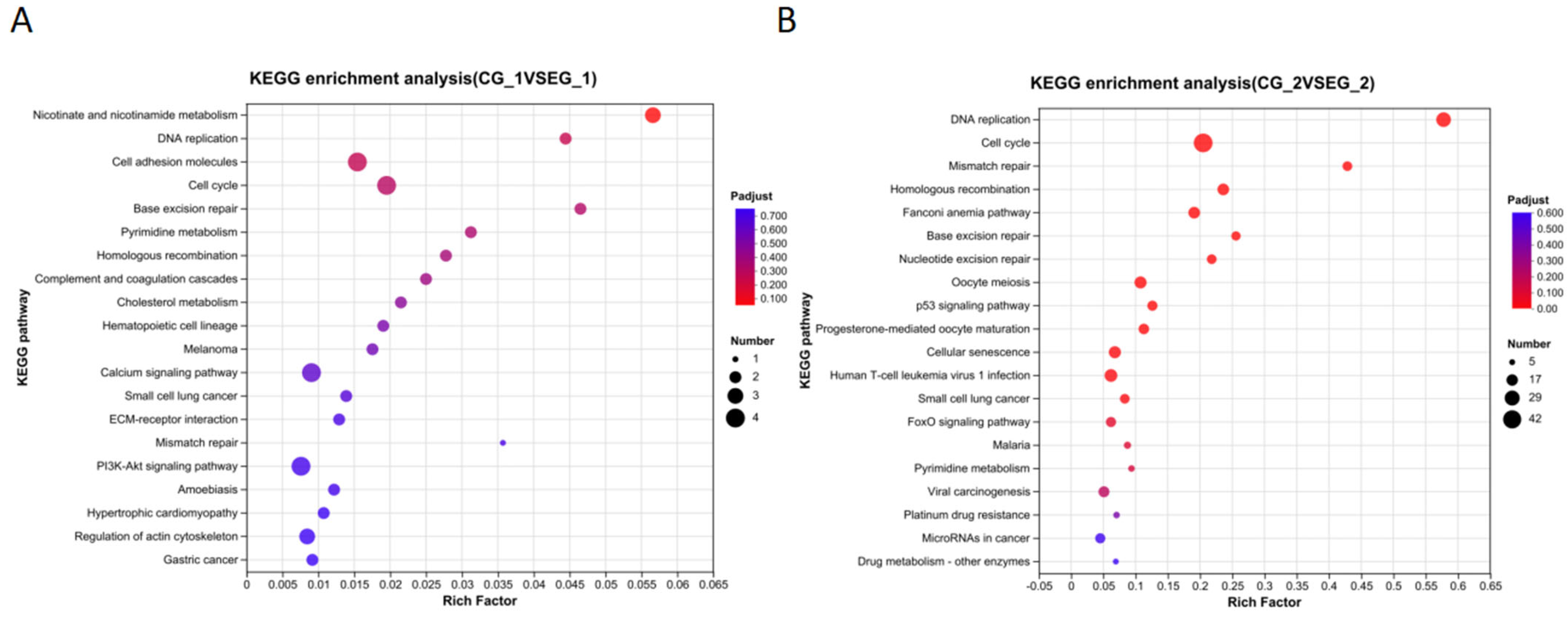 Animals 15 01130 g012